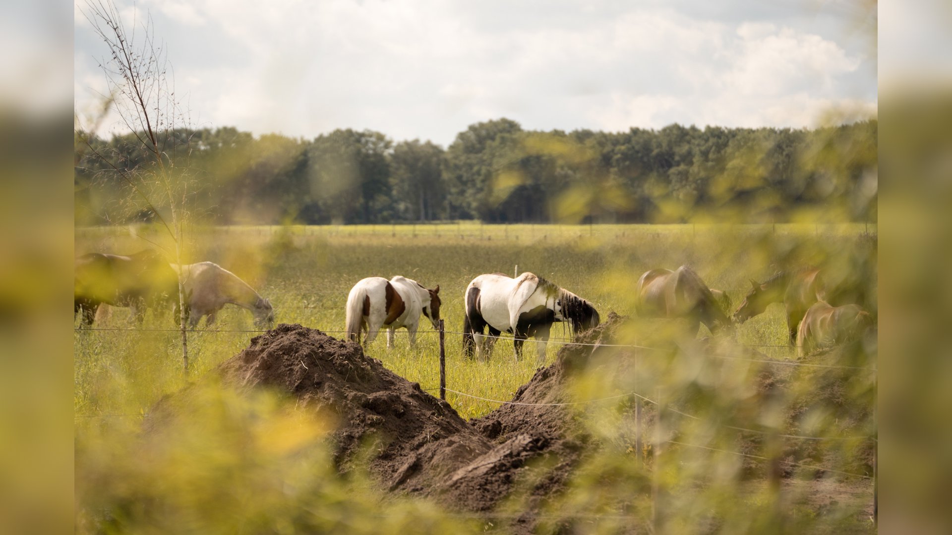 Avonturentuin maakt kans op publieksprijs Agroforestry Baanbrekersverkiezing
