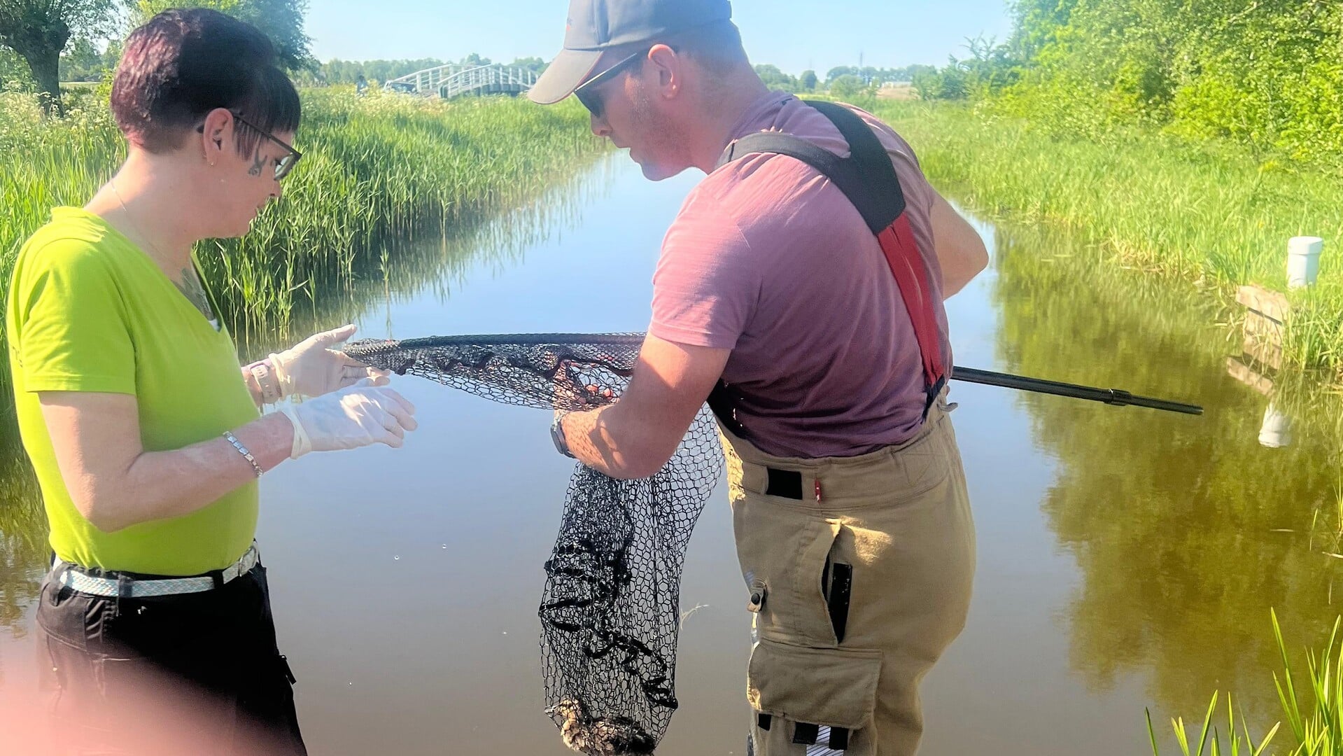 Brandweer redt eendenkuiken in Rottum