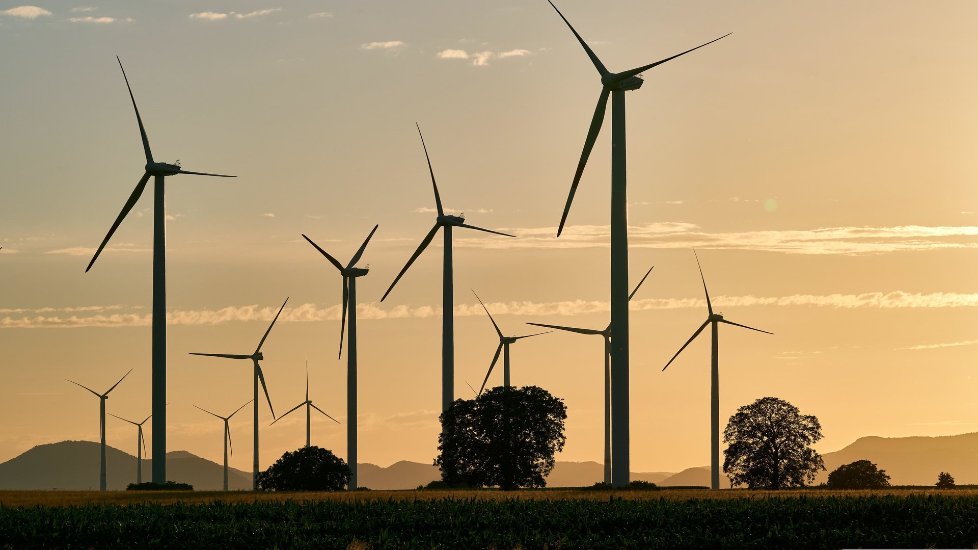 Windpark met maximaal elf turbines gepland langs A73 bij Boxmeer