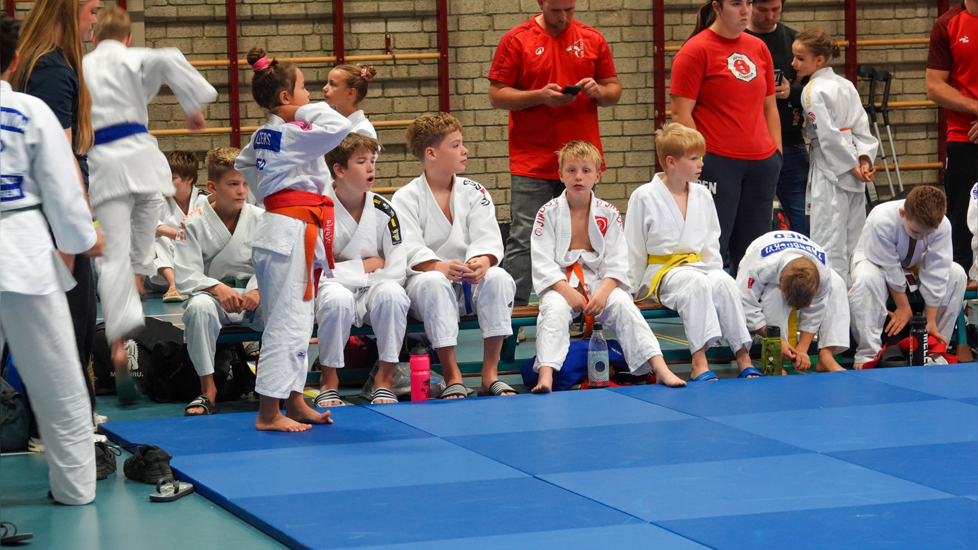 Halve eeuw Judo in Nieuw Bergen