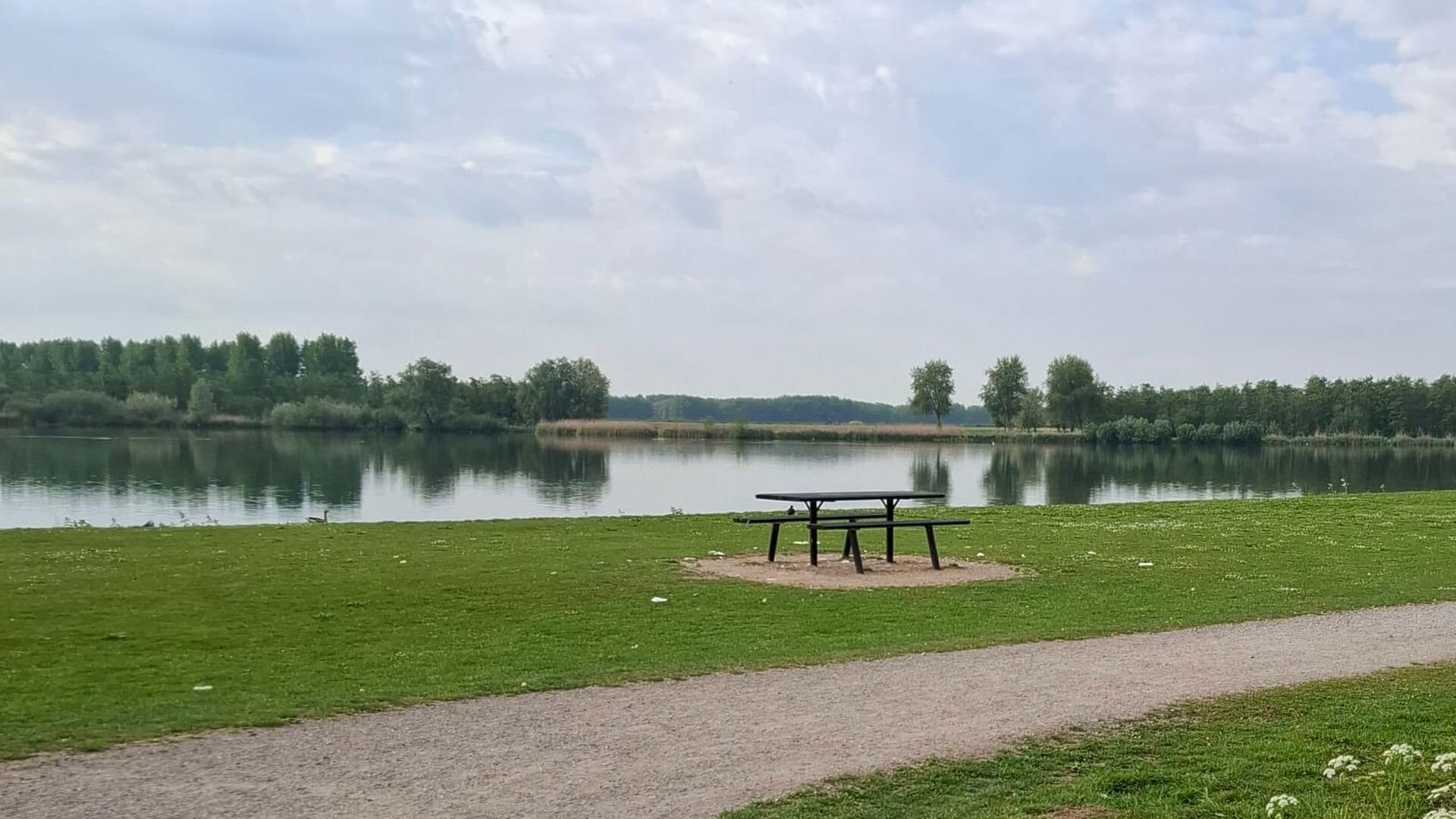 Blauwalg in Dobbeplas