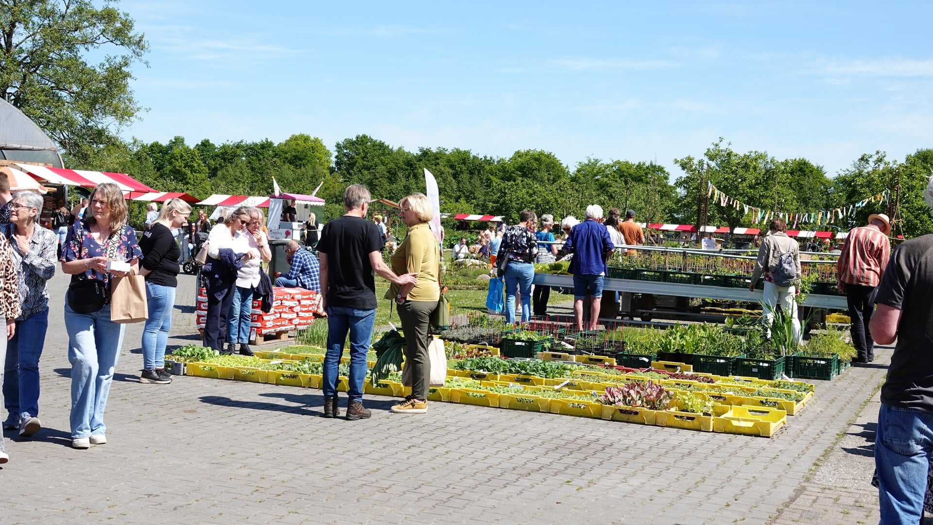 ’t Hummelhûs viert 20-jarig jubileum met zonovergoten Lentefeest