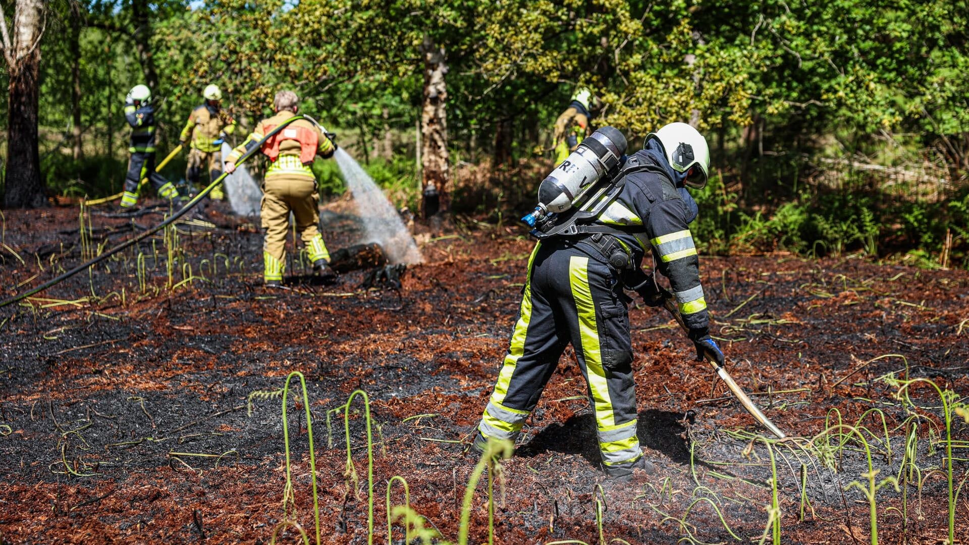 Brandweer heeft bosbrand snel onder controle