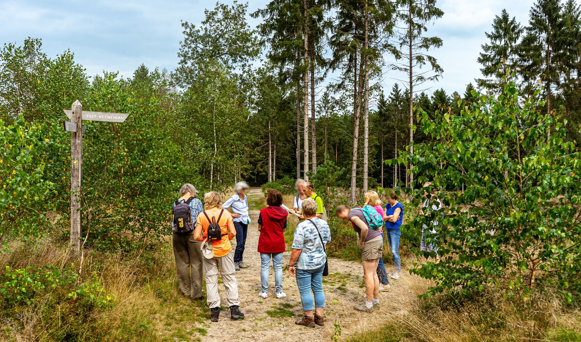 Archeologie En Cultuurhistorie In Het Amerongse Bos - Nieuwsblad De ...