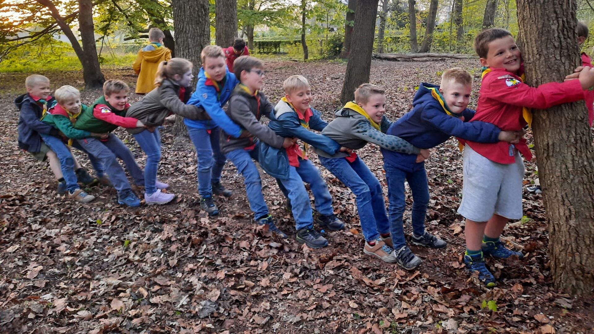 Scouting verdient Buddy Badge