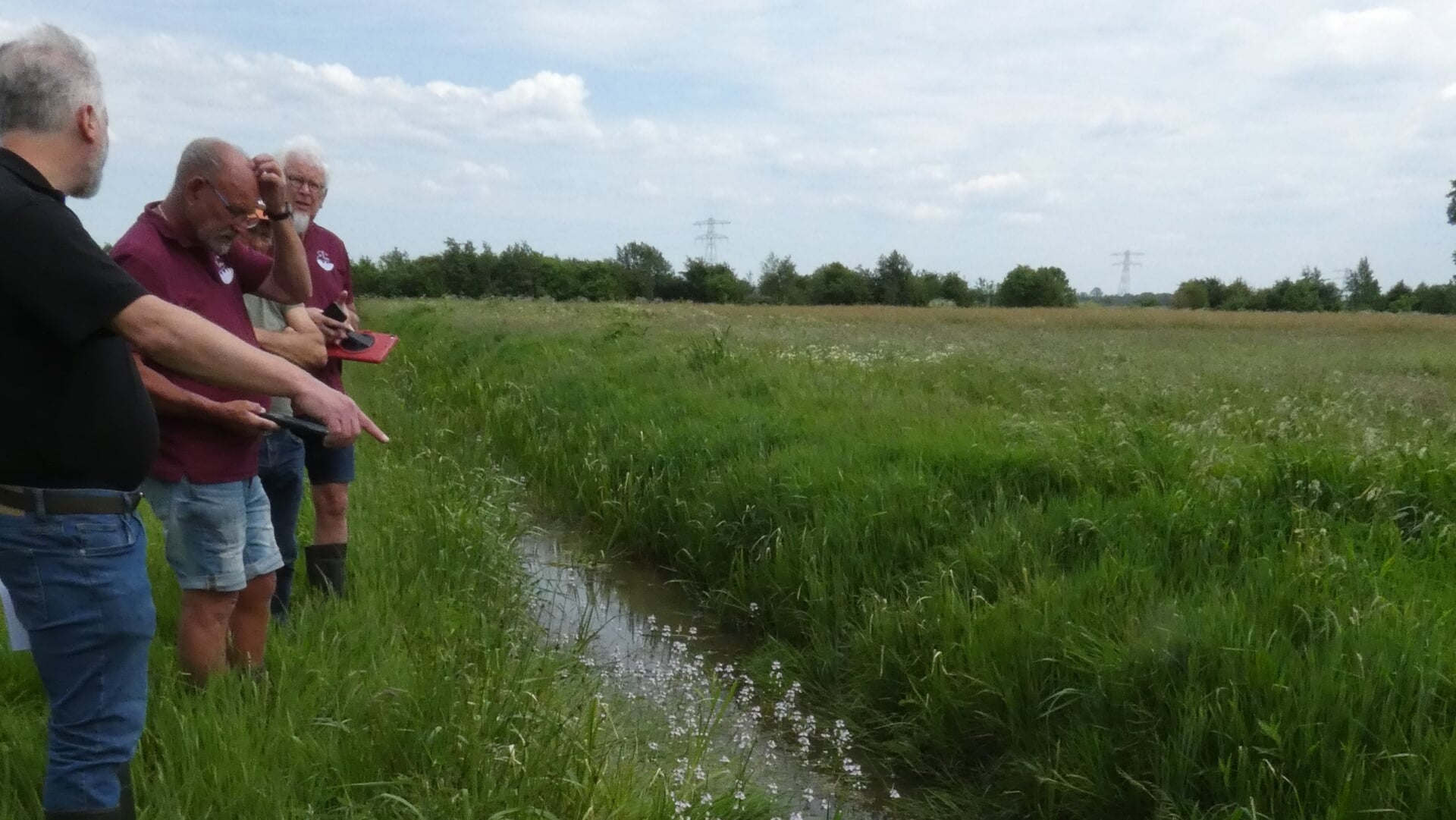 Excursie: Wat leeft er in en om de boerensloot?