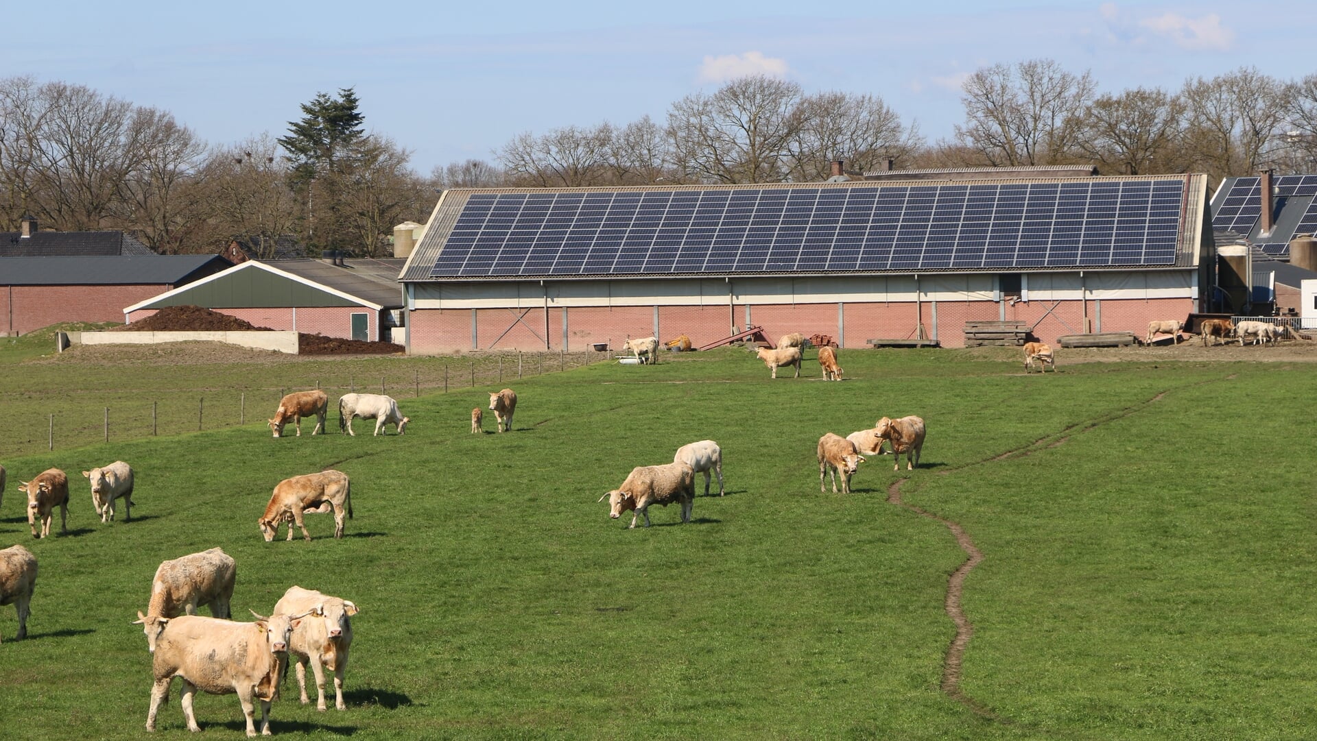 Inloopavond over plannen Lagestraat in Niftrik