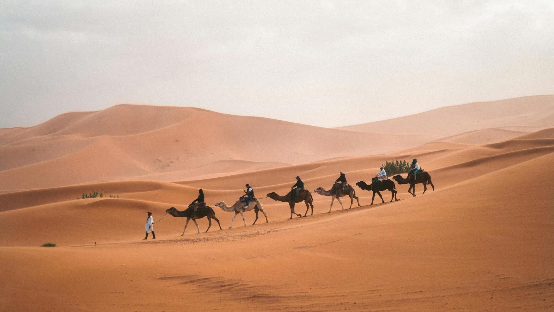 Lezing over de ontdekking van het oude Egypte