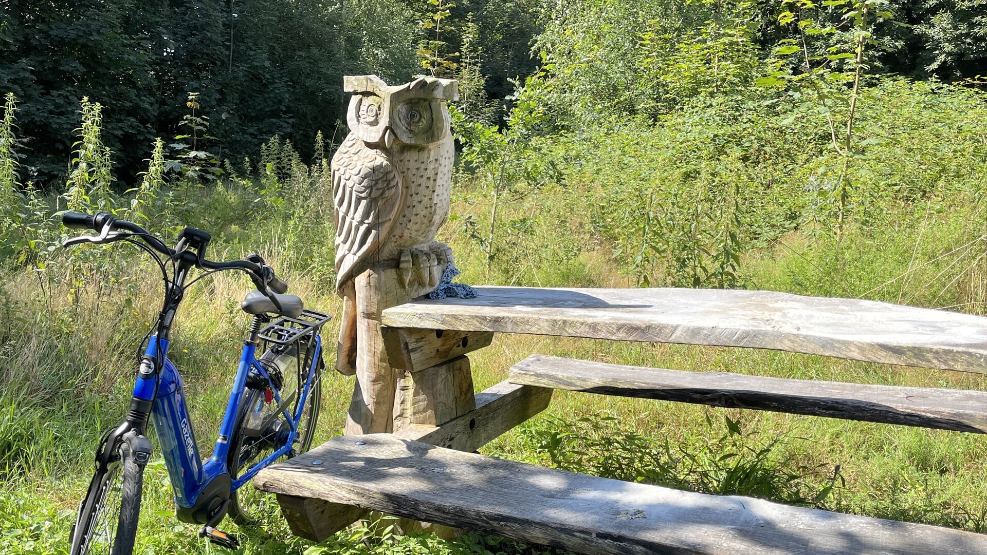 Fiets3Daagse in Boekel