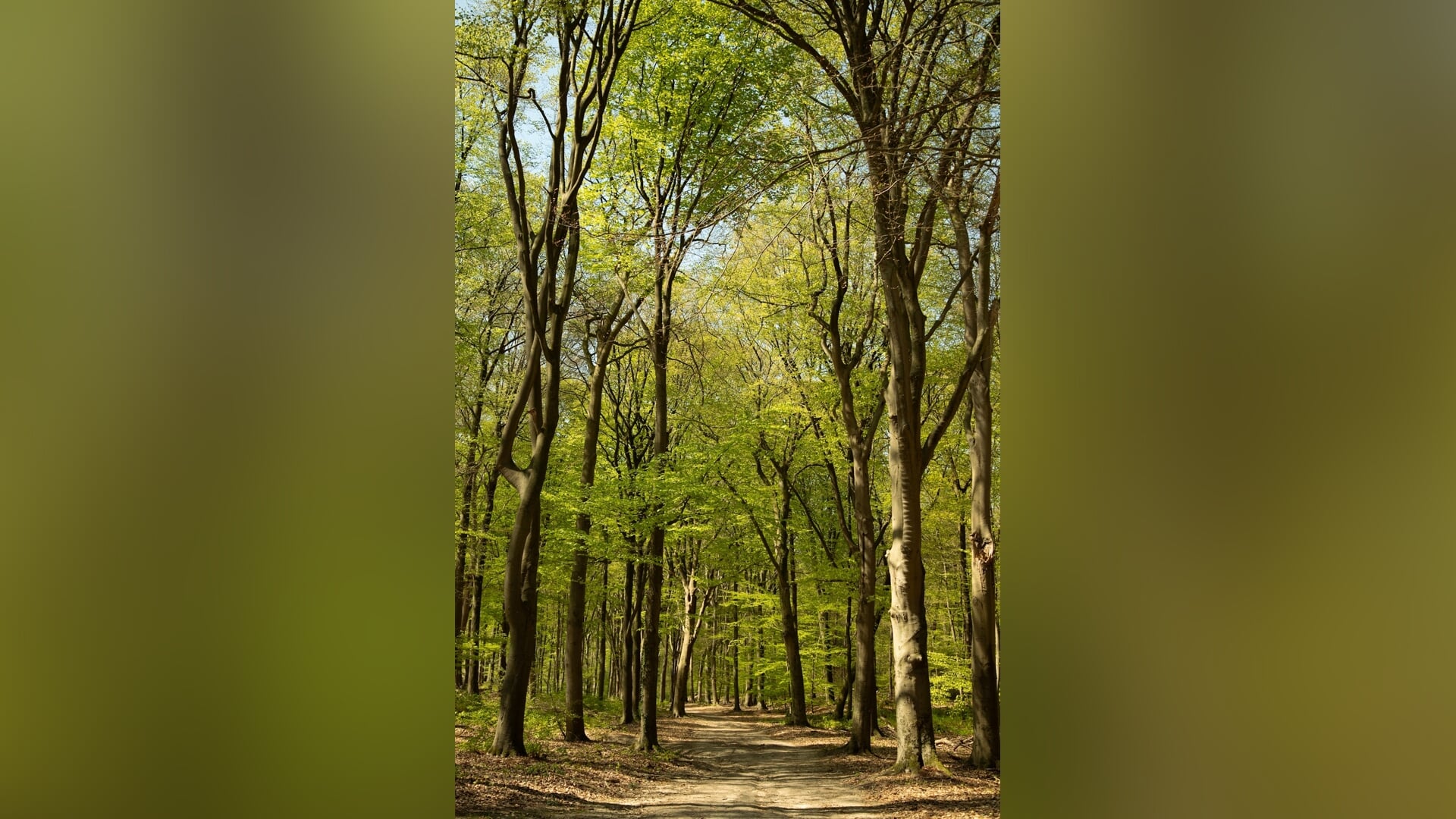 Grote natuurfoto expositie Kieknou