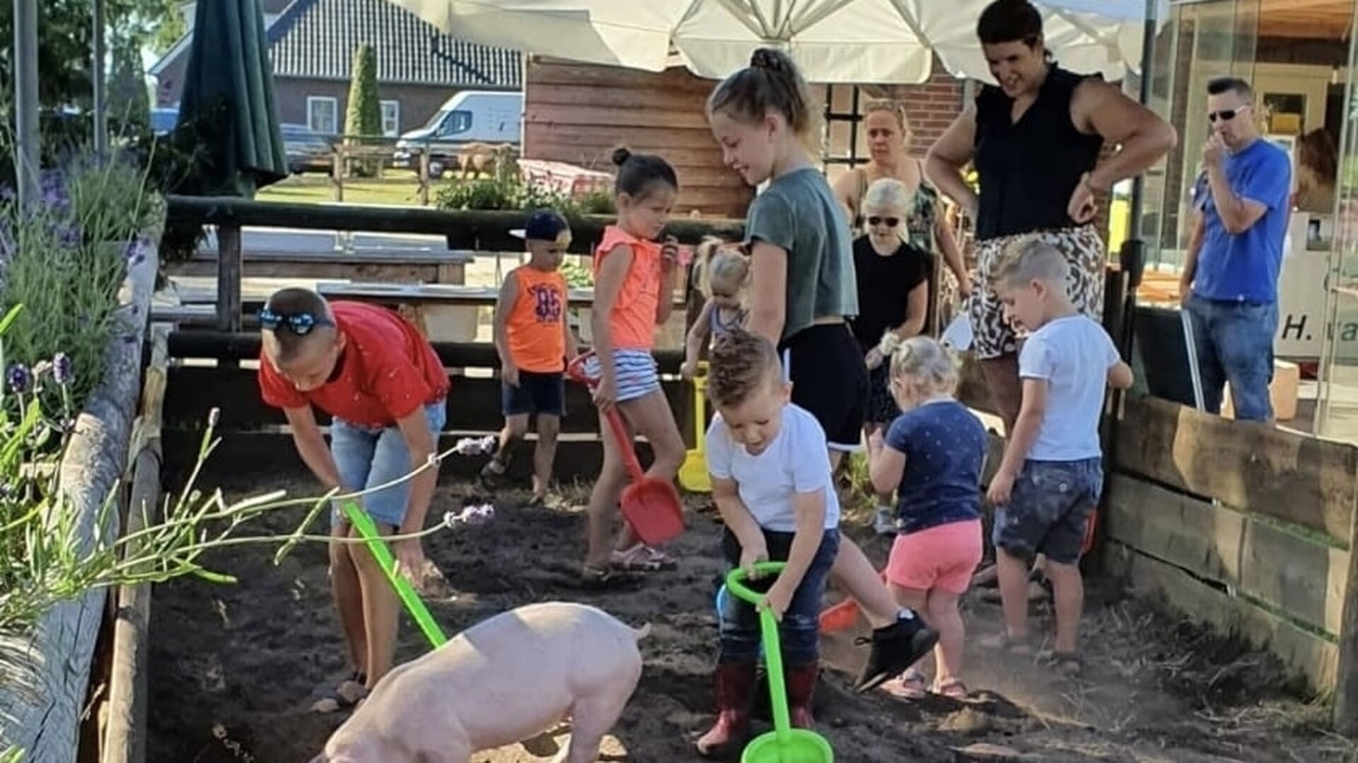 Bij Kato genomineerd voor ‘Het Tofste Boerderijuitje van Nederland’