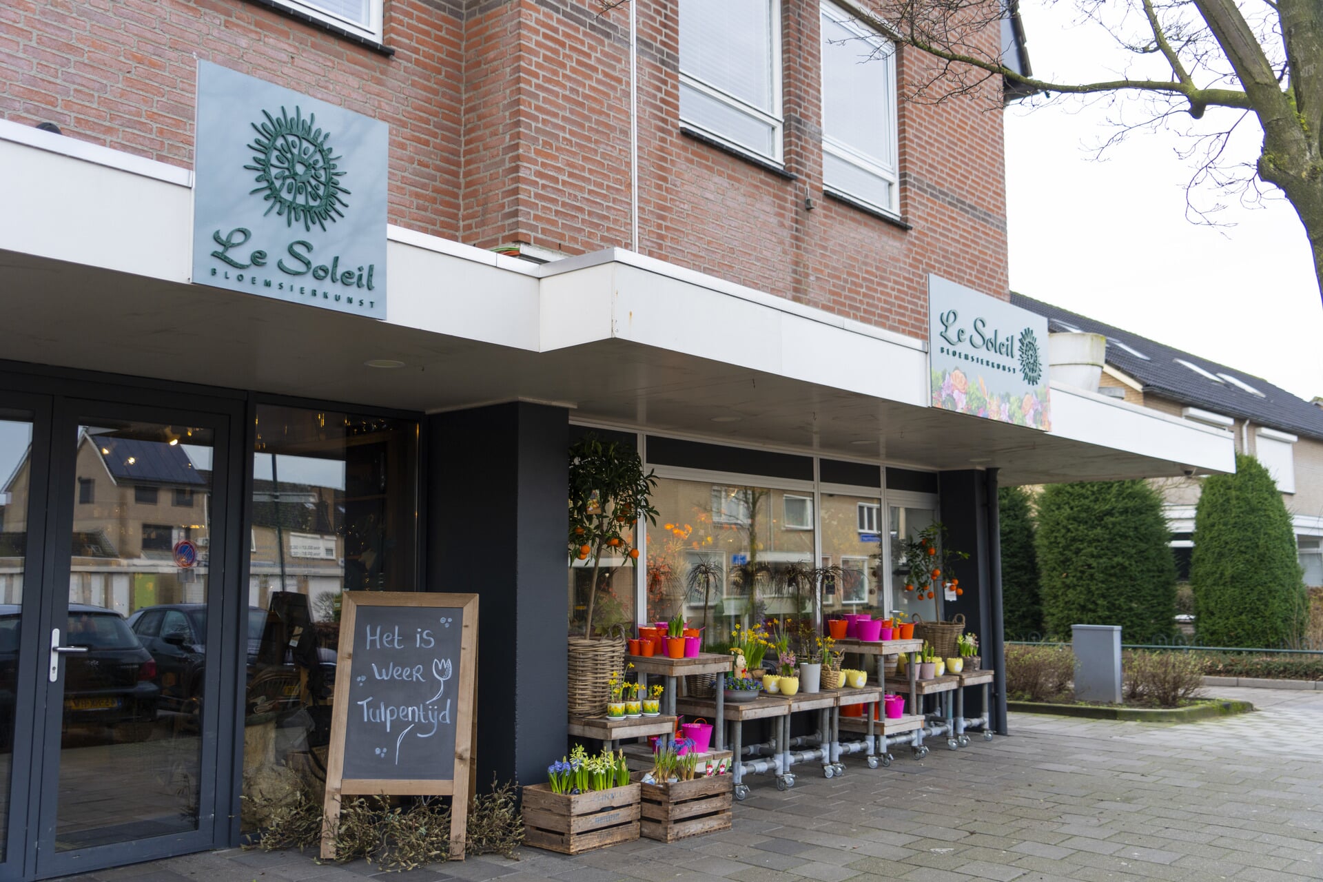 Wie mag het Bloemetje van de Week ontvangen?