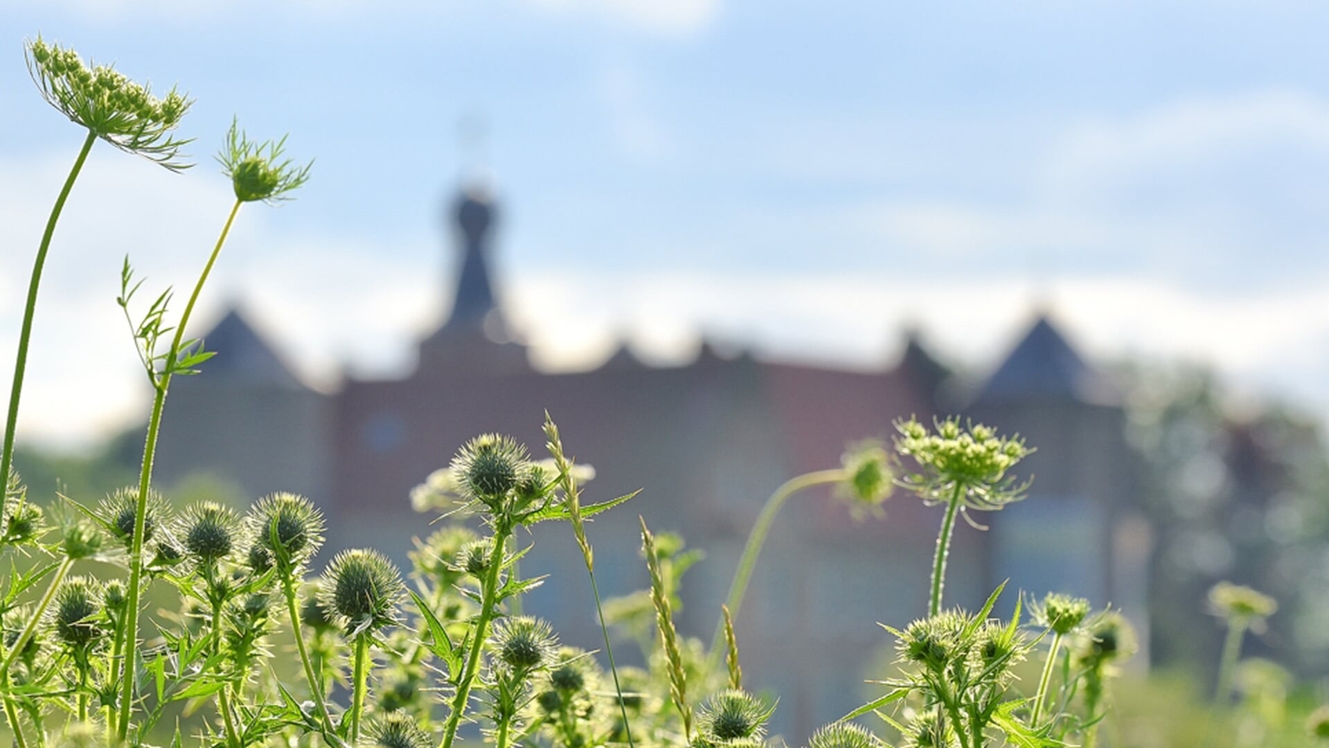 Wandeling klompenpad Croy
