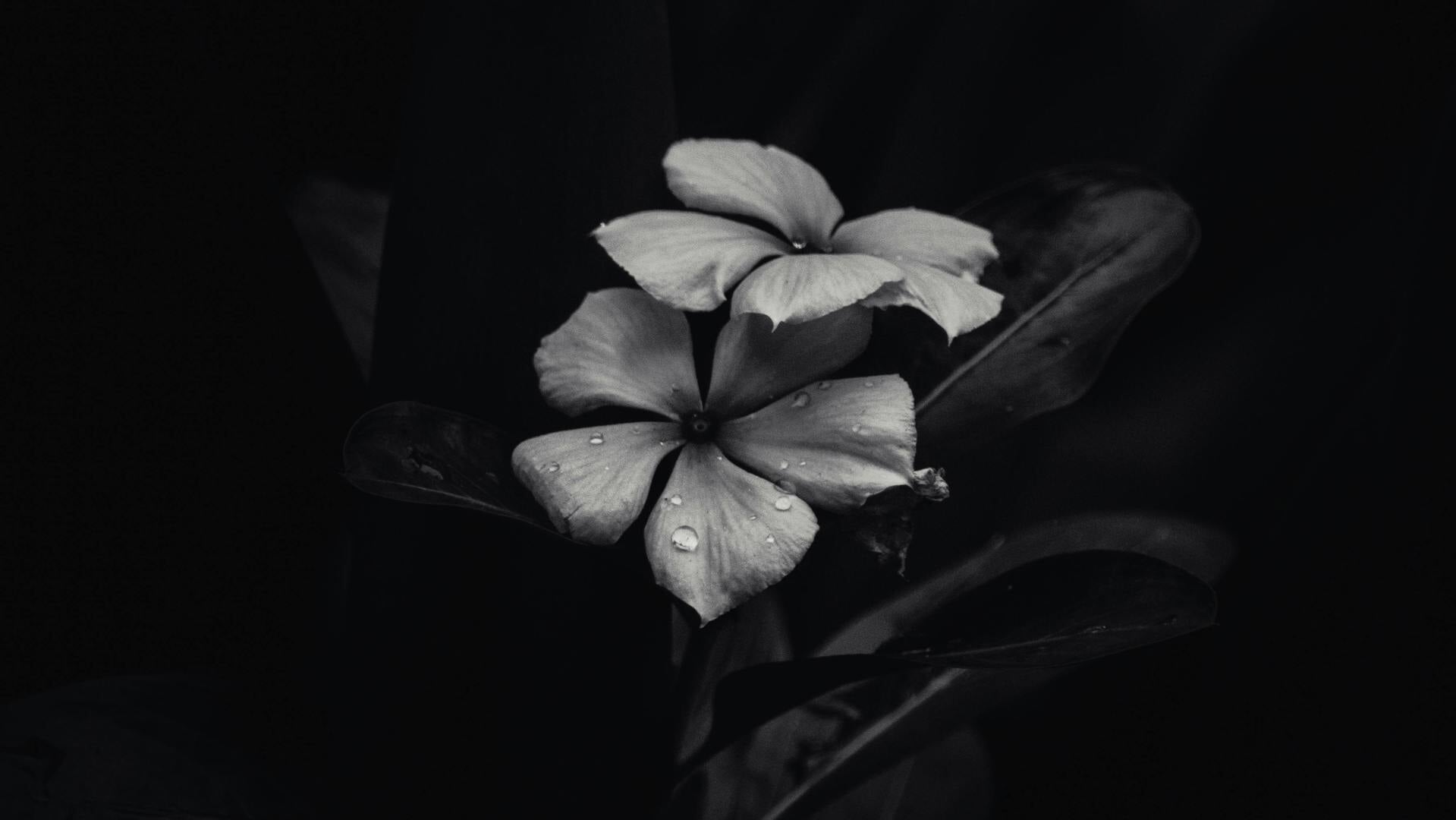 Ellen Tetteroo overleden