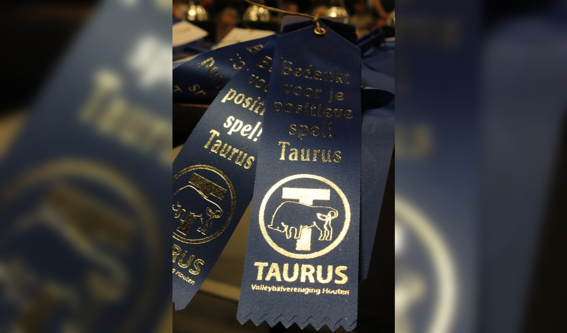 Taurus - Schoolvolleybaltoernooi wordt voor de 41ste keer gehouden ...