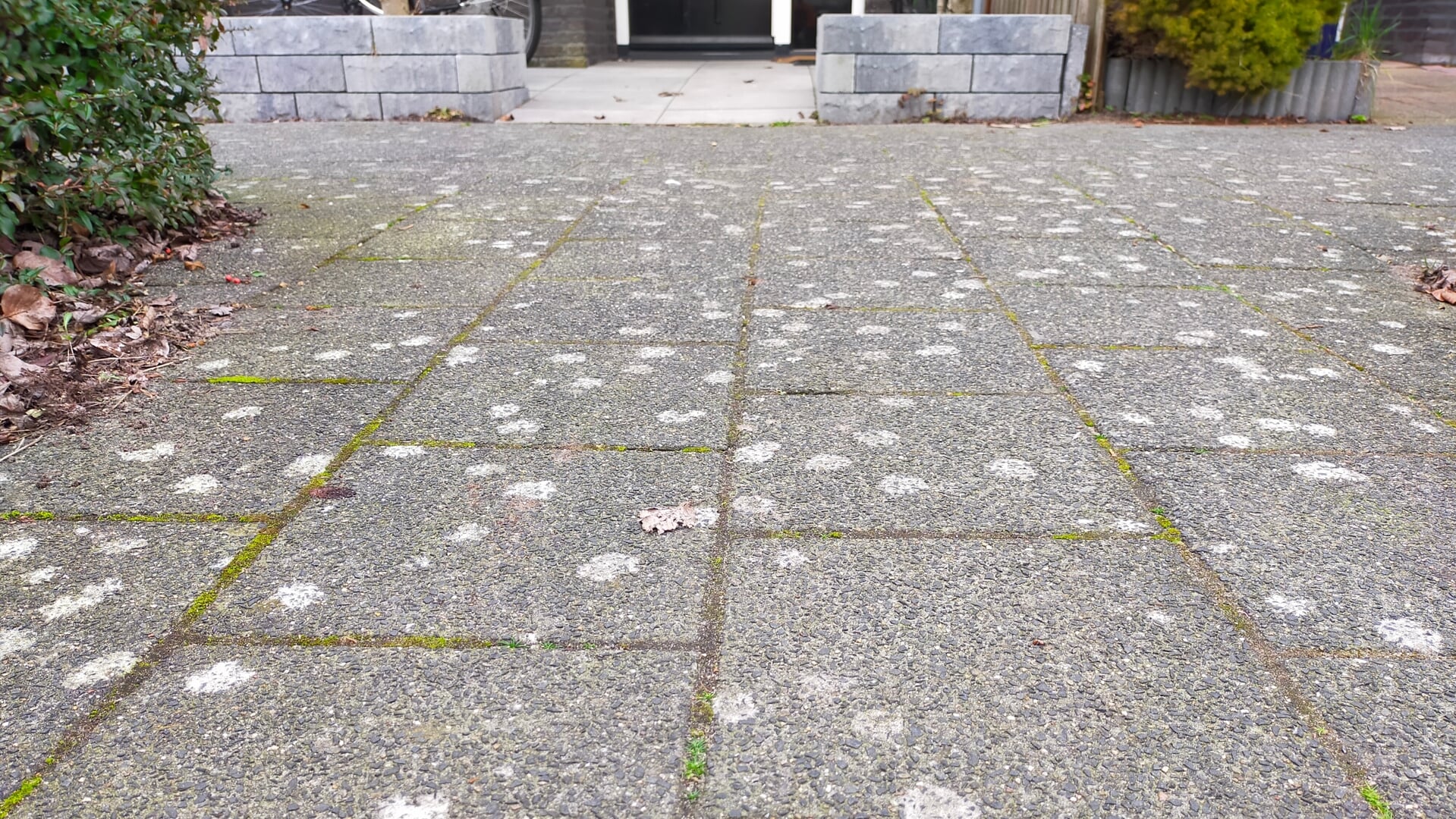 Lezersfoto Wat zijn die witte ronde vlekken op de stoep? Nieuws uit de regio Amstelveen