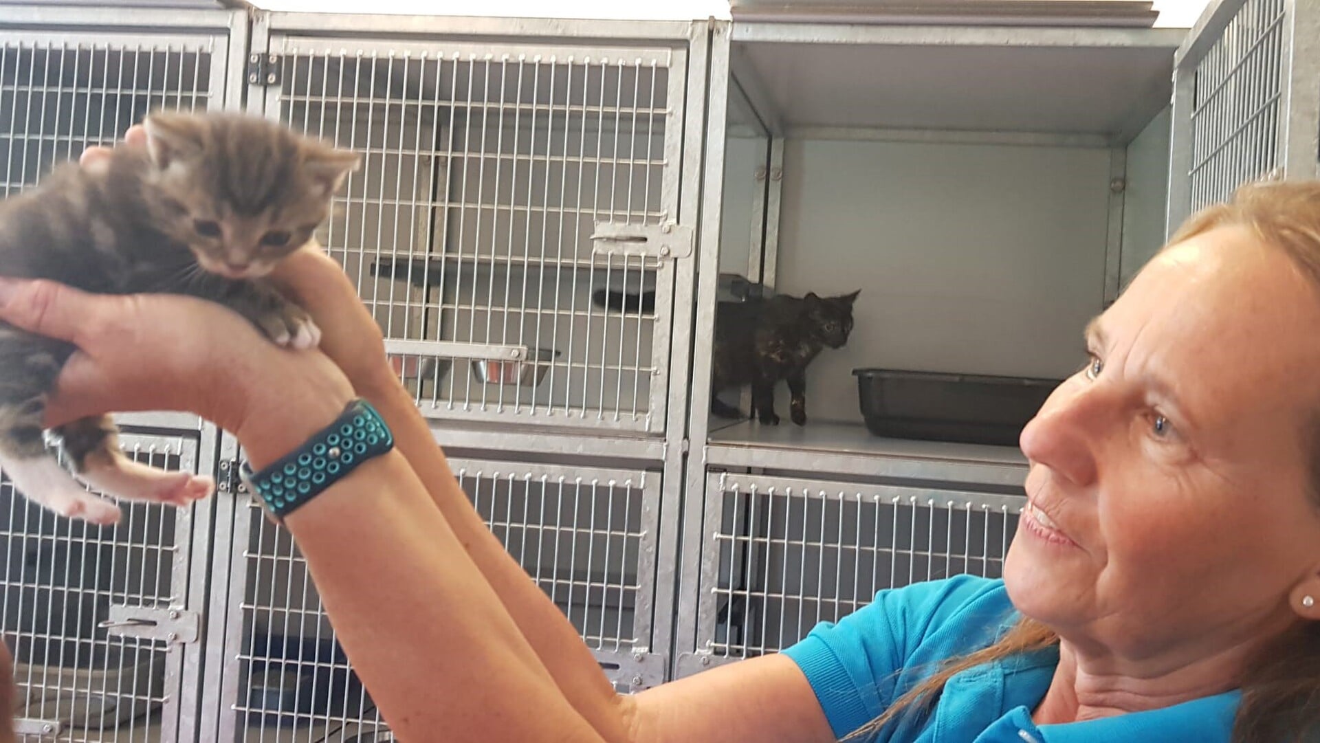 Open Dag zwerfdierenopvang de Nomadenhof op 28 juni: “Maak dat de kat wijs!”