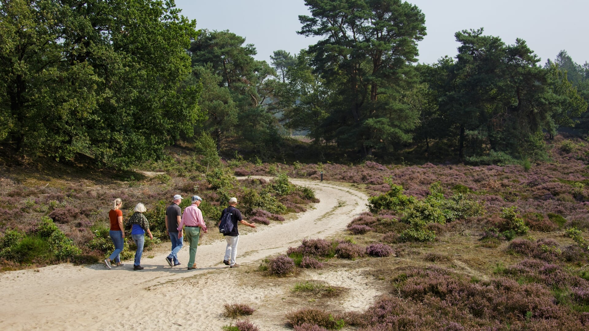 Beleef deze zomervakantie de natuur met It Fryske Gea