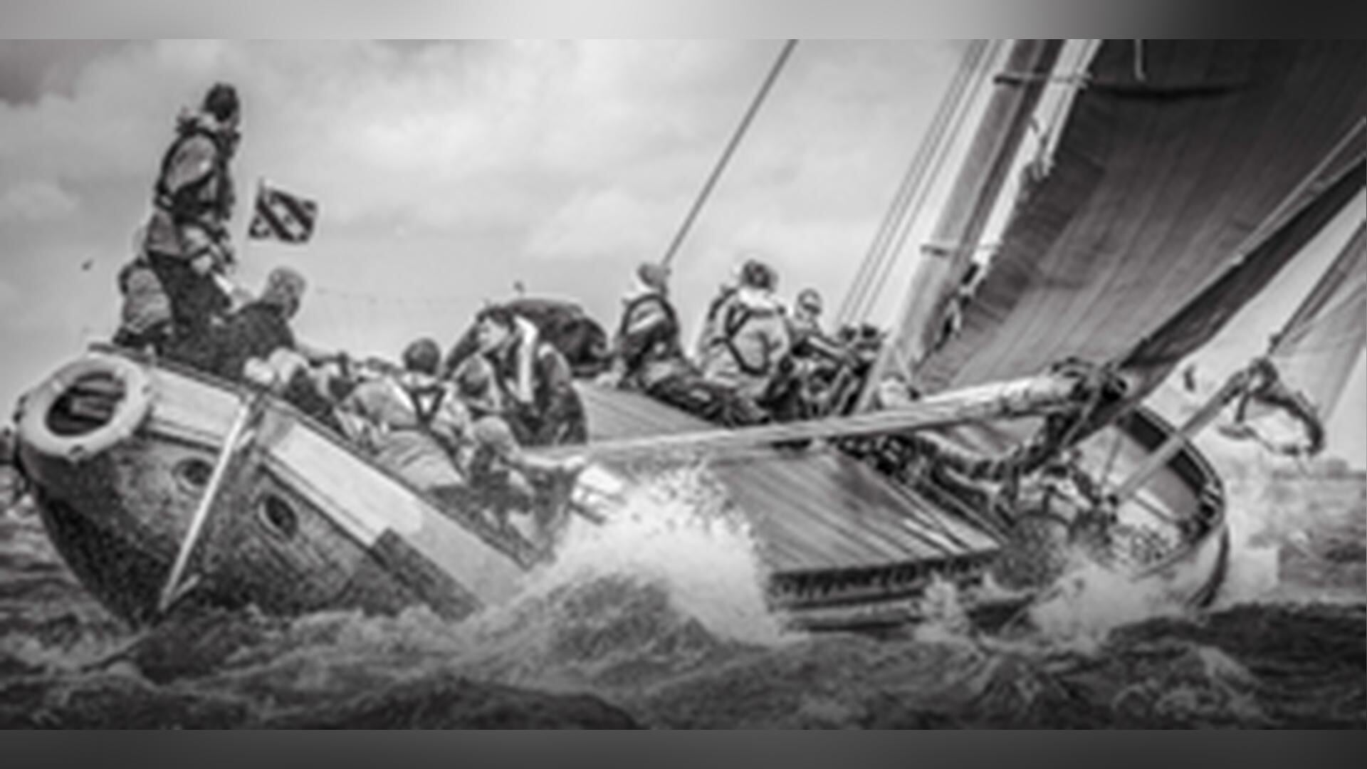 Expositie Tom Coehoorn in Ysbrechtum: “Wat mijn passie al was, werd mijn werk”