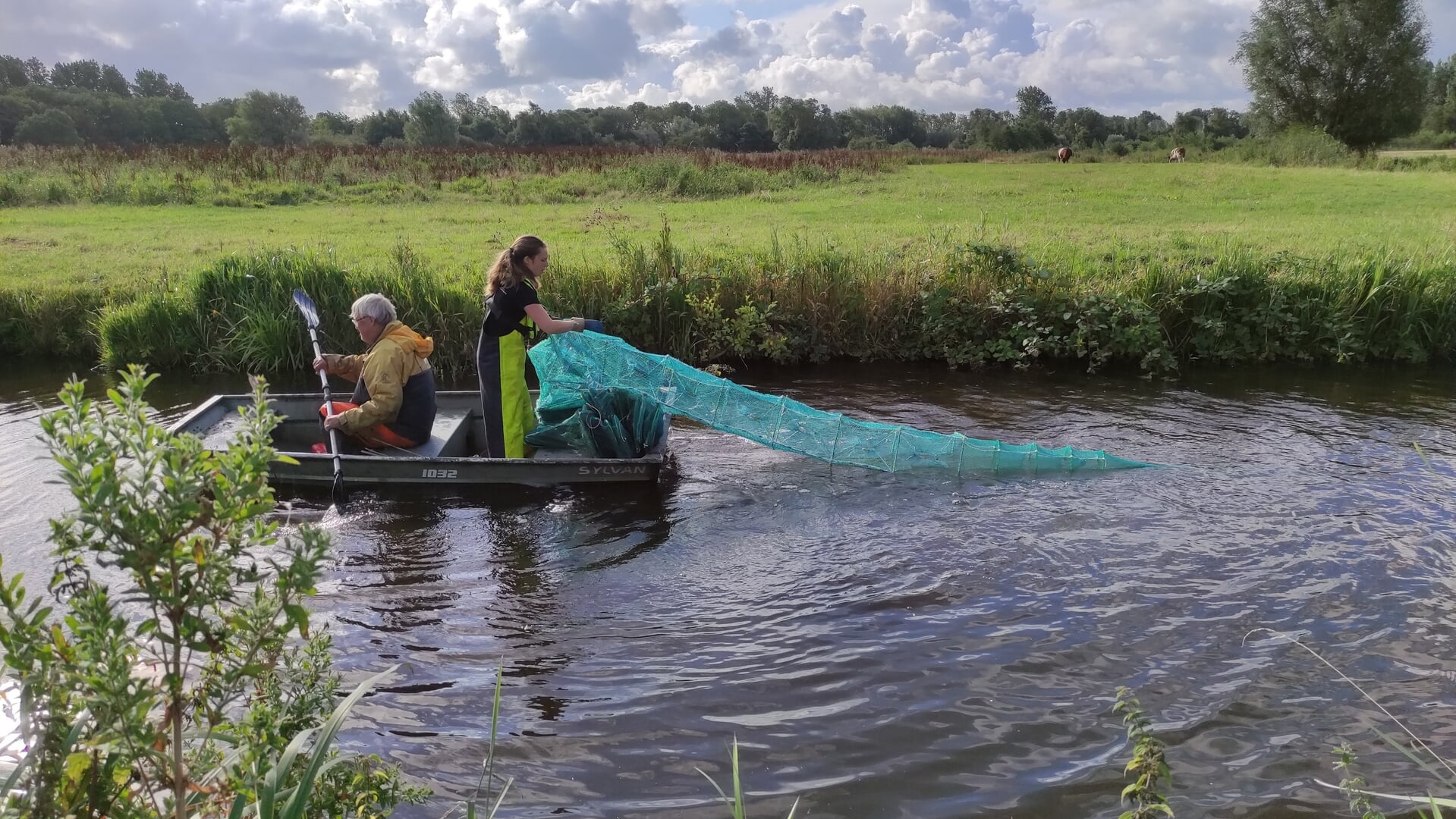 Invasieve rivierkreeft ondermijnt natuur én beleid