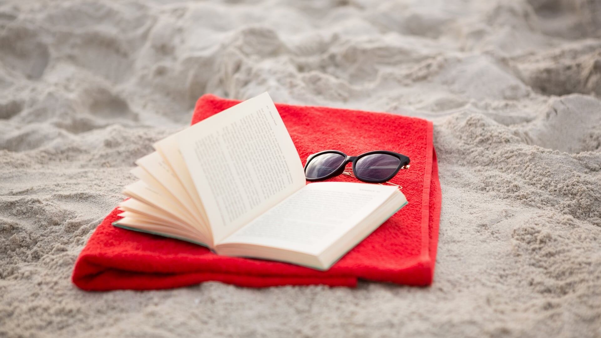 De Bibliotheek als zomerse ontmoetingsplek vol verhalen en activiteiten