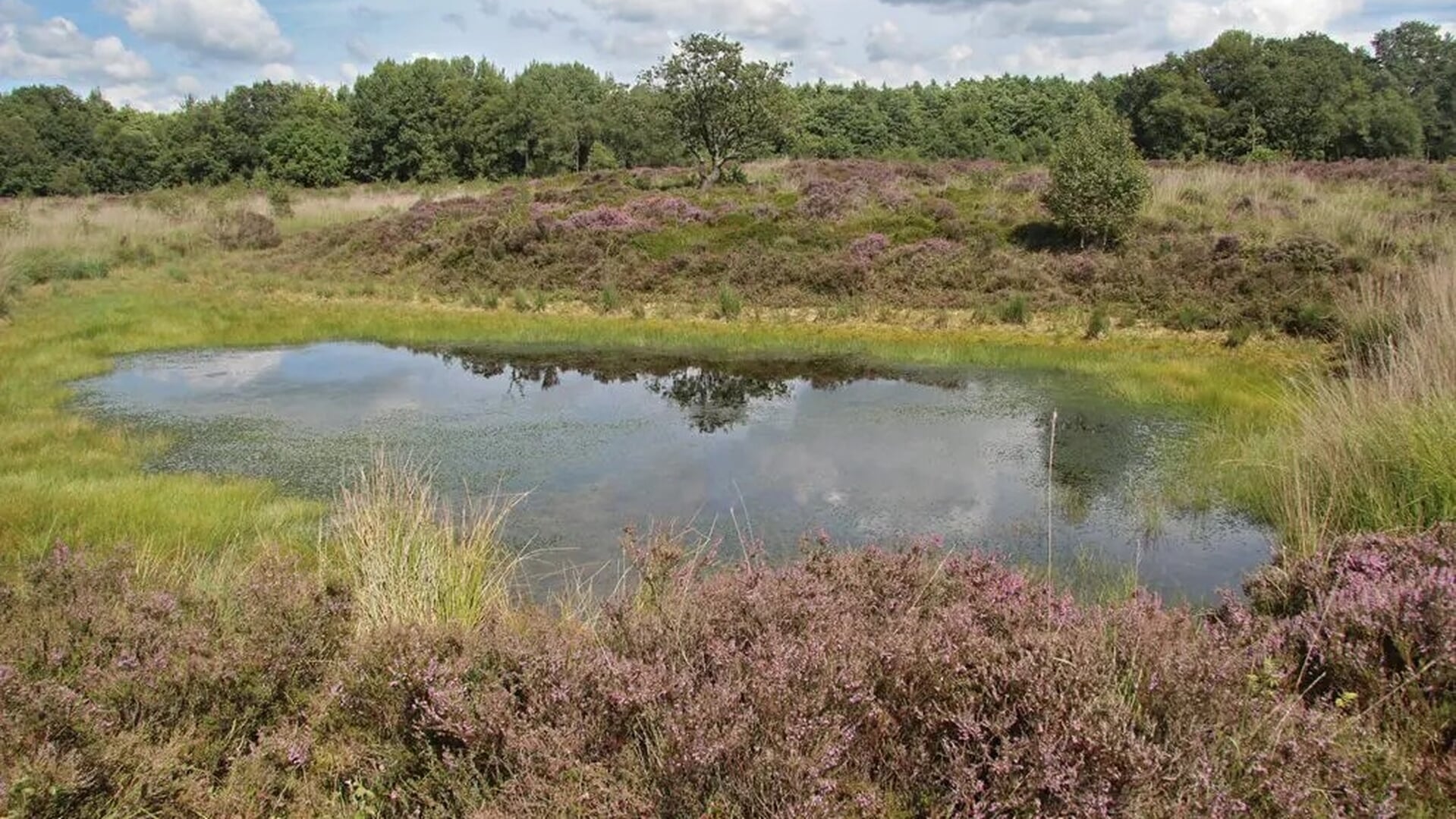 Avondwandeling over de Ketlikerheide