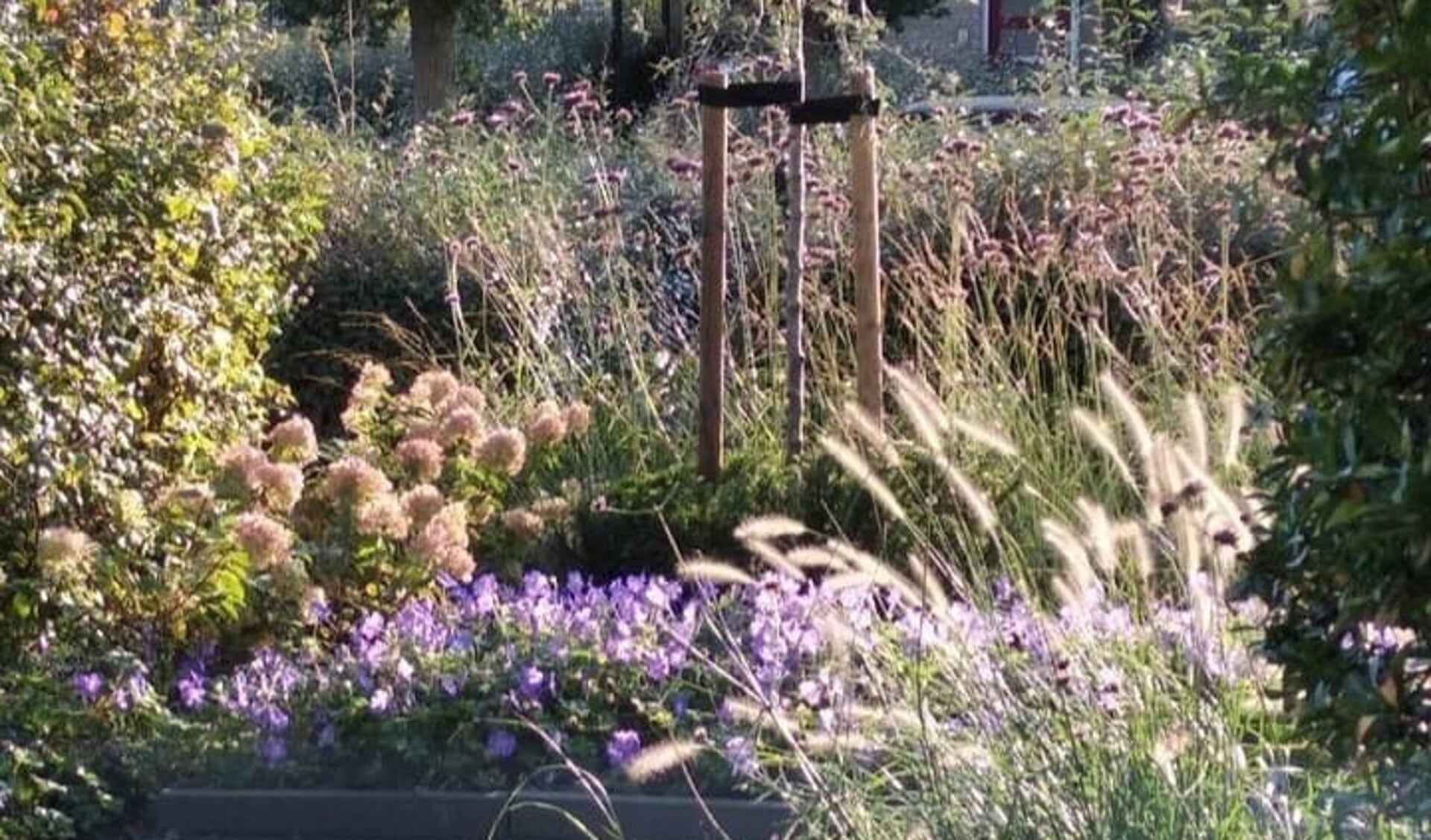 Kleurrycktuinen Nl De Kleurrijke En Duurzame Hovenier Uit Barneveld