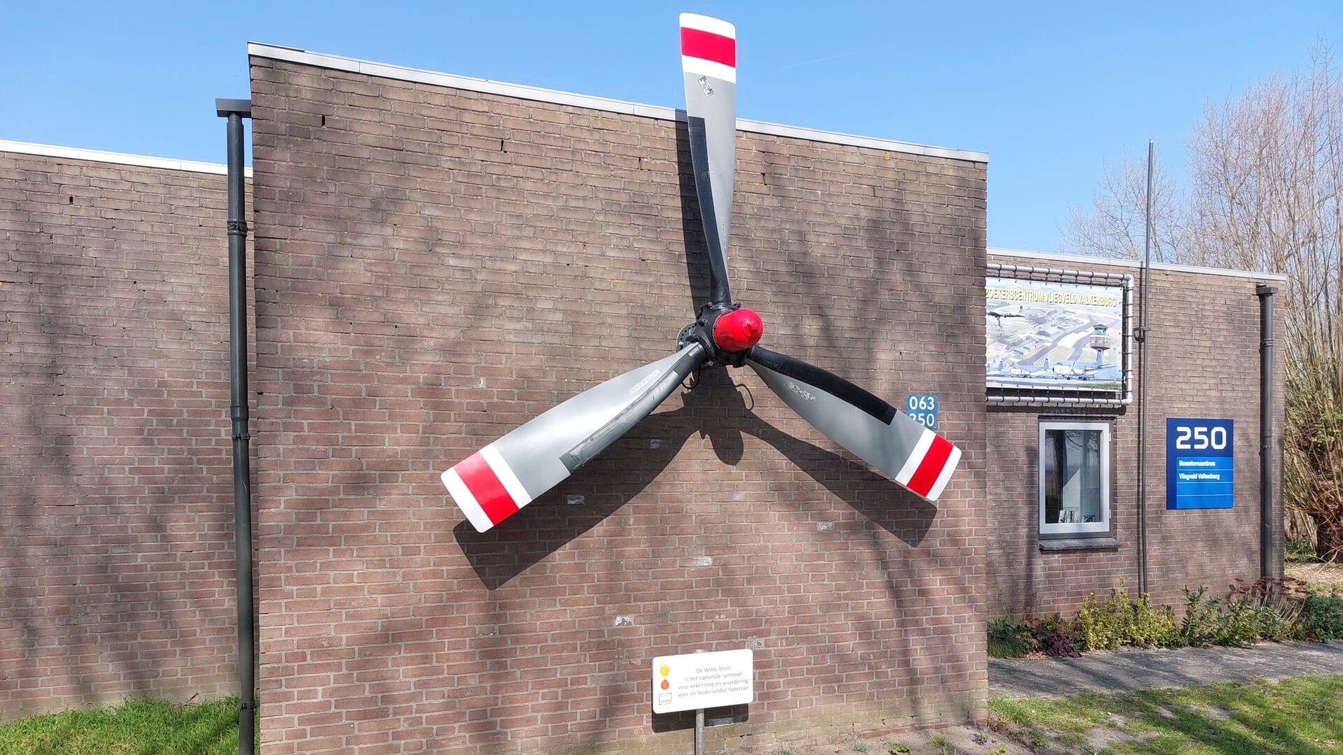 Veteraan pleit voor aanpassing en zichtbare plek voor Witte Anjer-perk