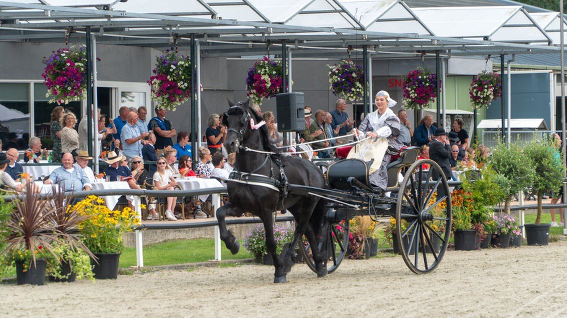 Concours Hippique Rijs: 78e editie belooft paardenspektakel