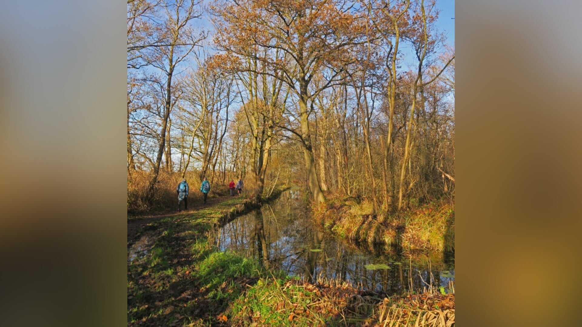Herfstwandeling op koninklijk landgoed De Horsten