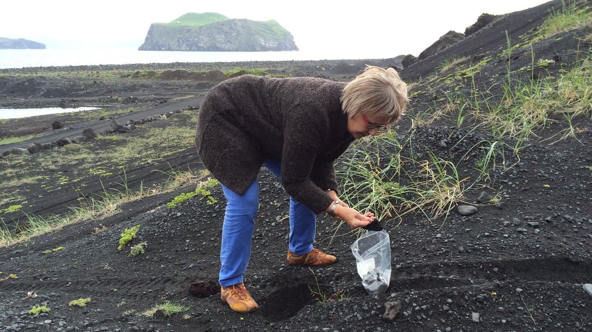Zomer Expositie Galerie-Atelier Anneke van Santen