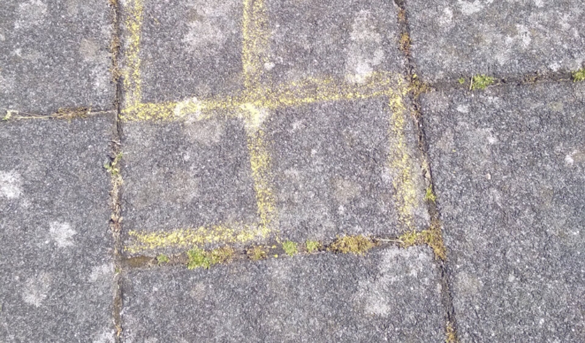 Hakenkruis aangetroffen op trottoir wijk Stadsdennen