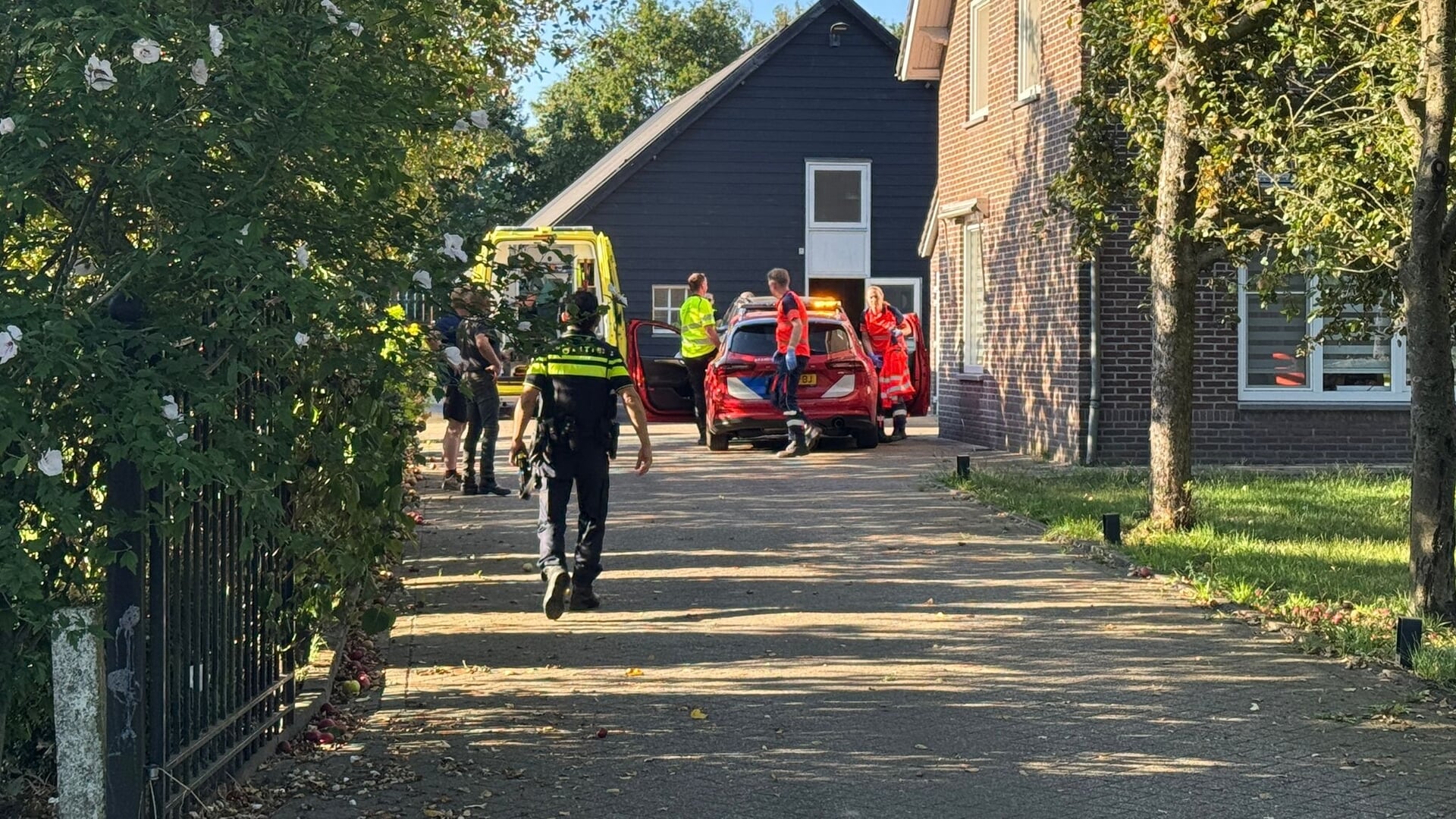 Ernstig gewond na trap van paard in Gemert