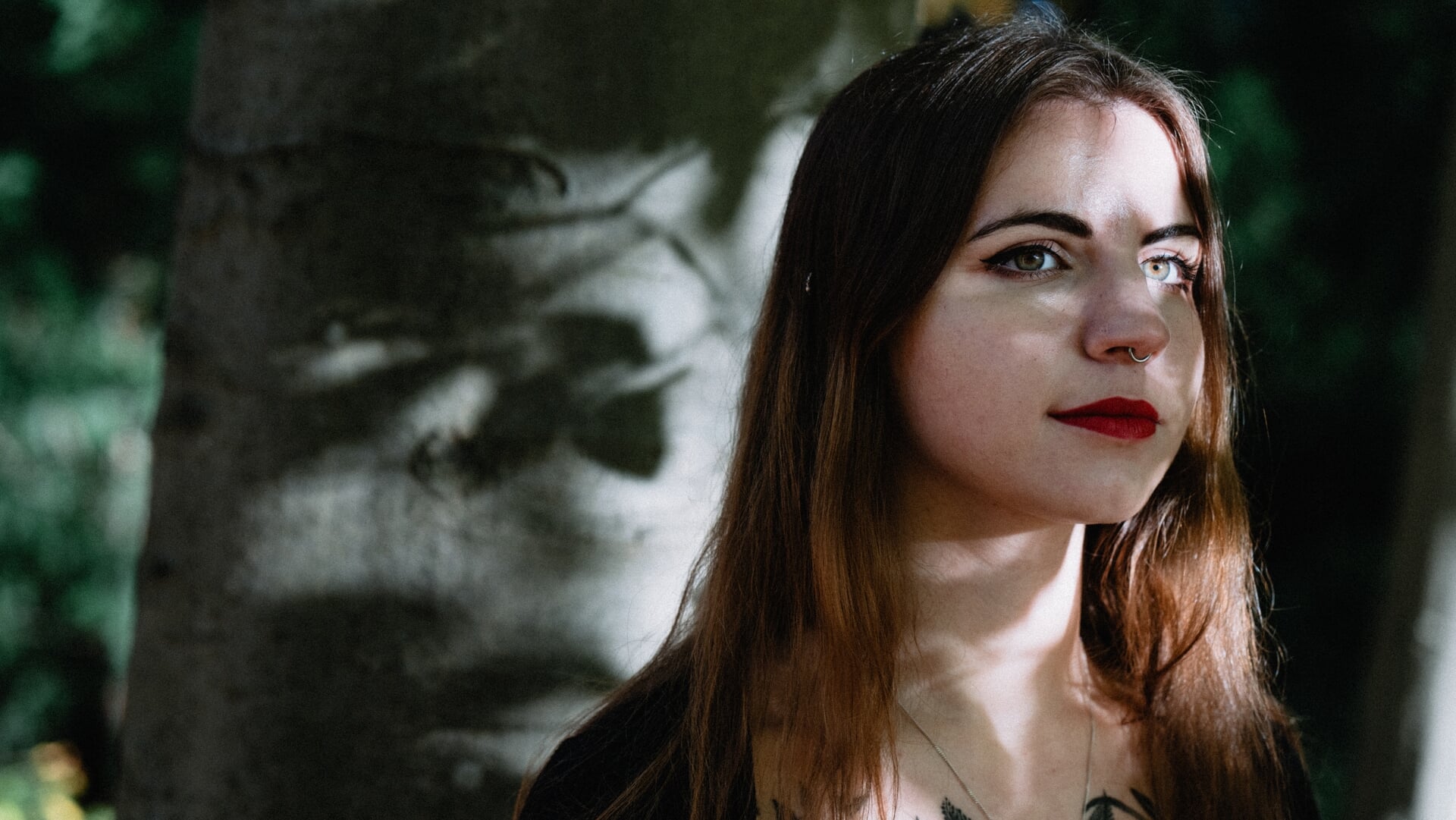 Gratis Zebra Festival 2025 gaat komend weekend live in Gemert