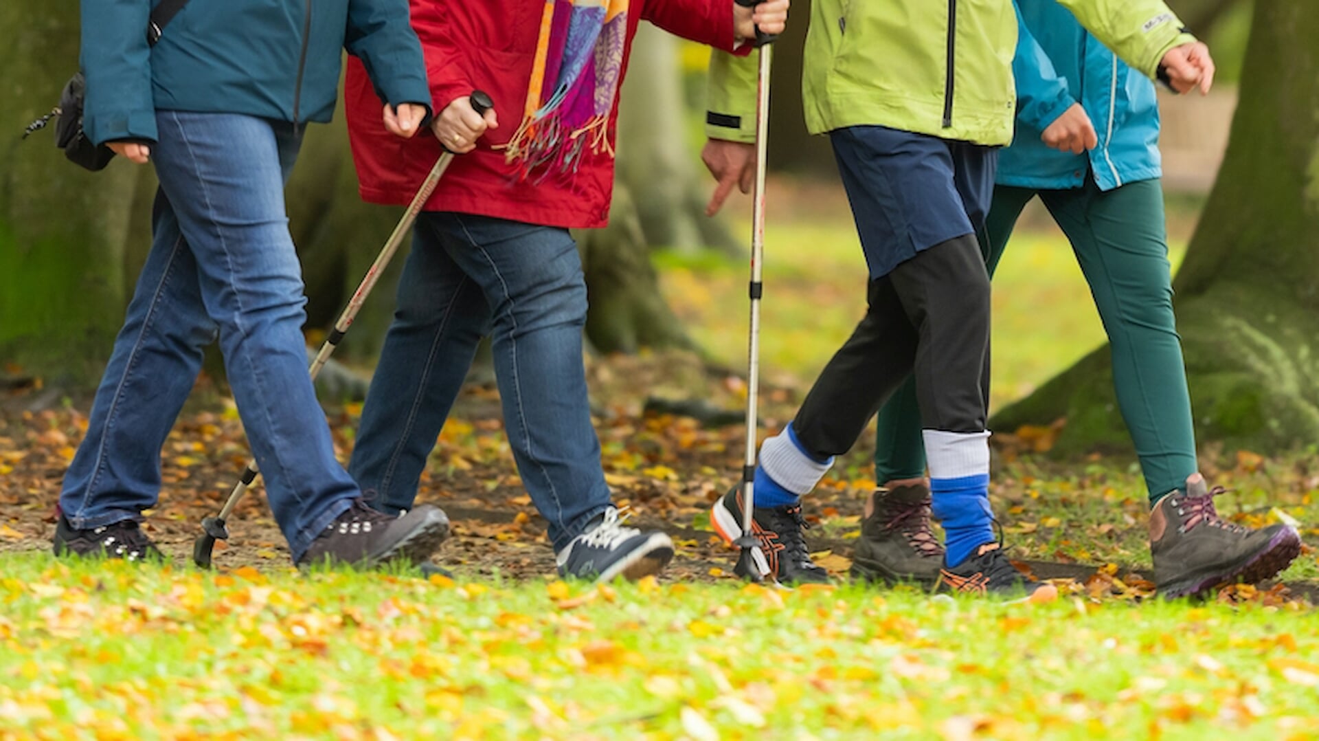 Sportieve fiets- en wandeldag in Duin- en Bollenstreek - Alles over ...