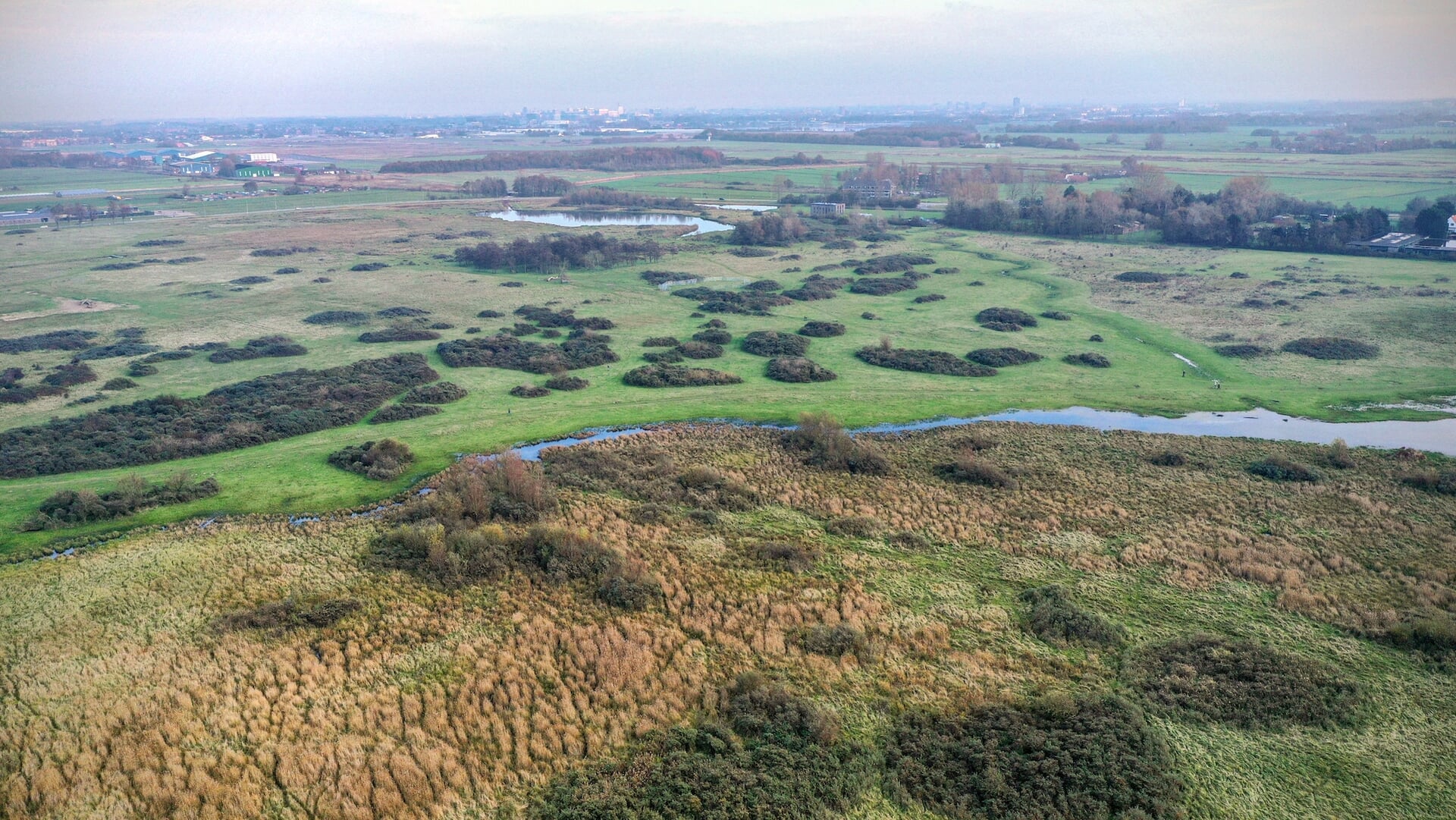 Winterwandeling - Al het nieuws uit Katwijk, Rijnsburg en Valkenburg