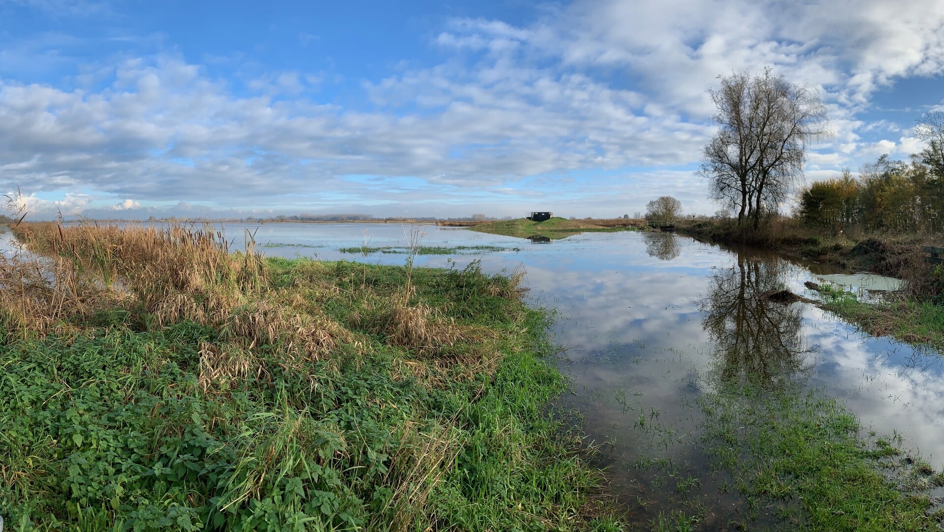 Unieke natuurexcursie naar Potskar-Noord en Griene Dyk
