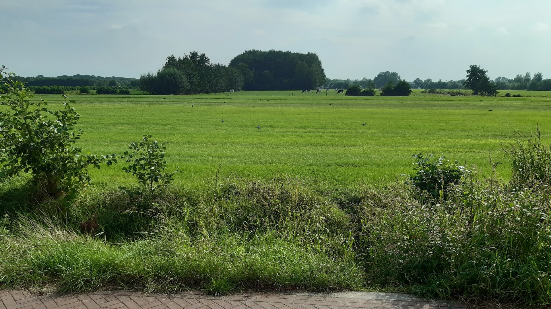 Gemeente wil met omwonenden in gesprek over ‘Tabaksteeg-Zuid’ | Nieuws uit de regio Leusden