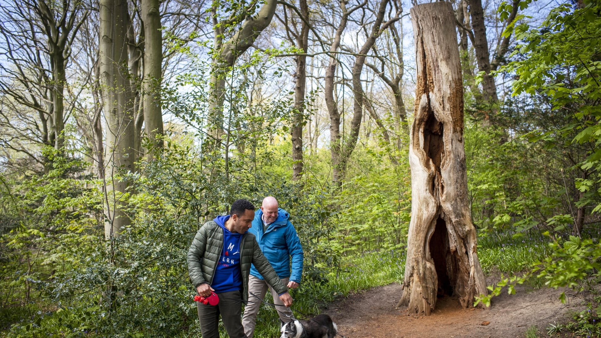 De natuur in? Zo ontdek je meer - Al het nieuws uit Katwijk, Rijnsburg ...