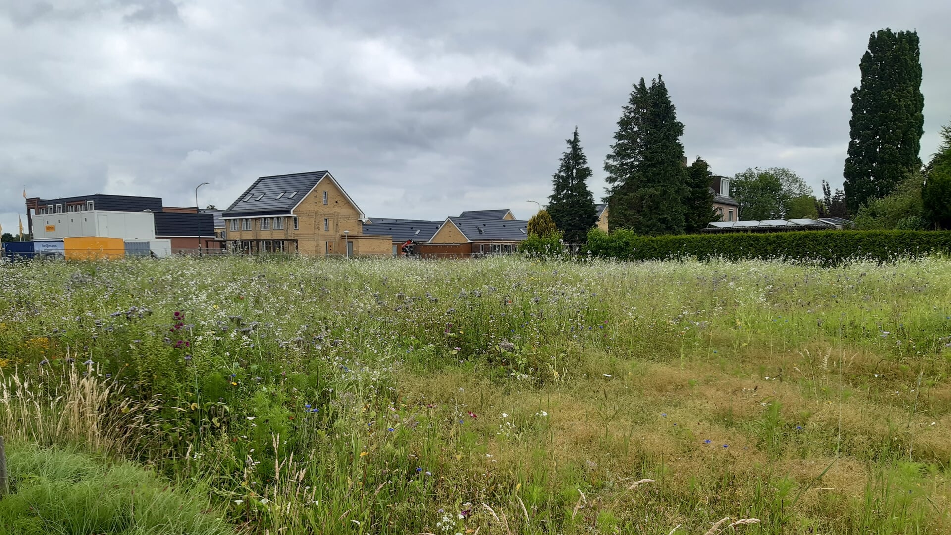 Omthuis bespreekt aangepast ontwerp voor WoonDroom-project met omwonenden | Nieuws uit de regio Leus