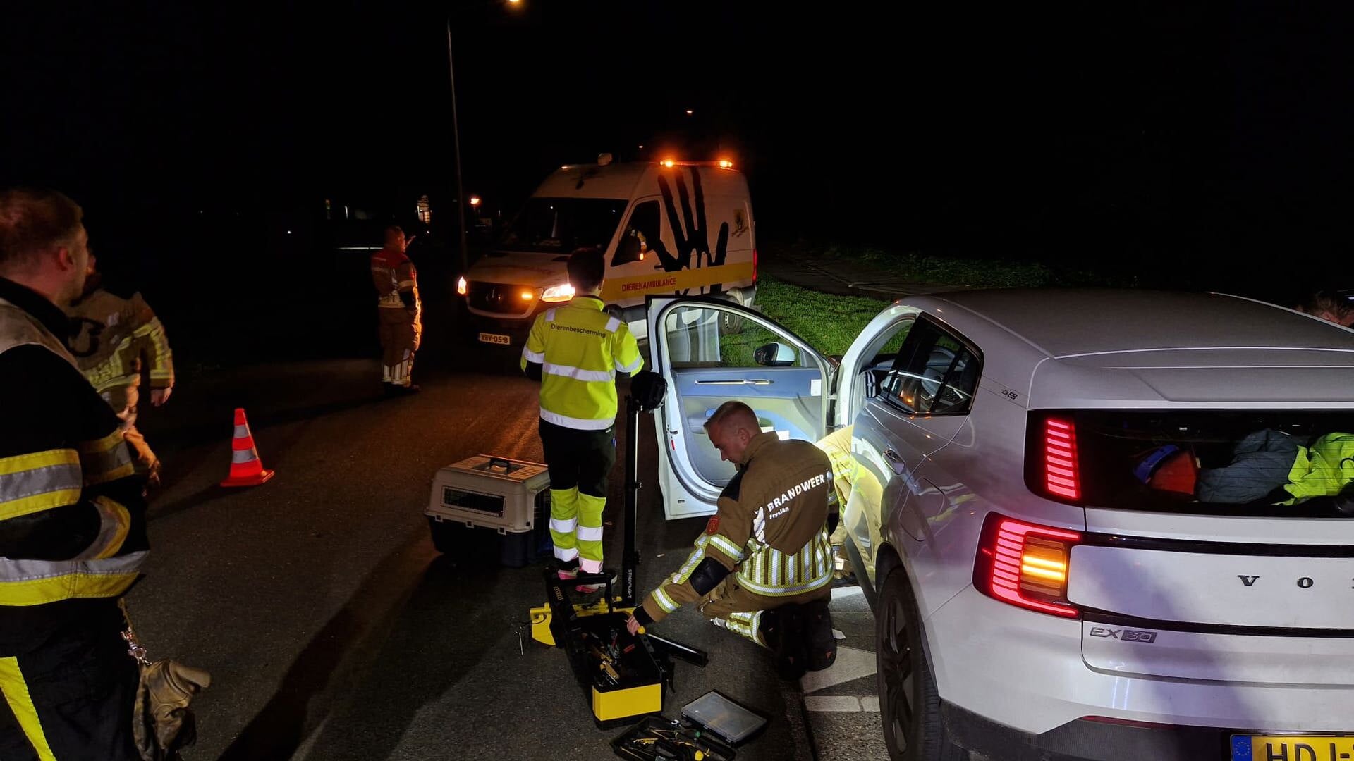 Poes verstop zich achter dashboard van auto, brandweer biedt helpende hand