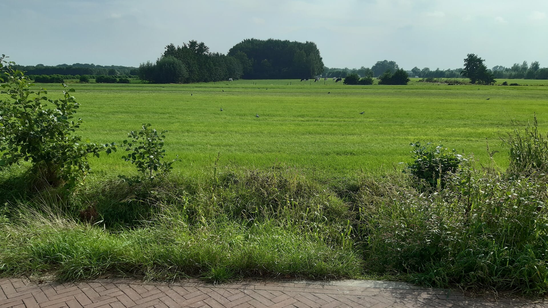 Thuis online kijken naar de bijeenkomst over woningbouw in Tabaksteeg-Zuid