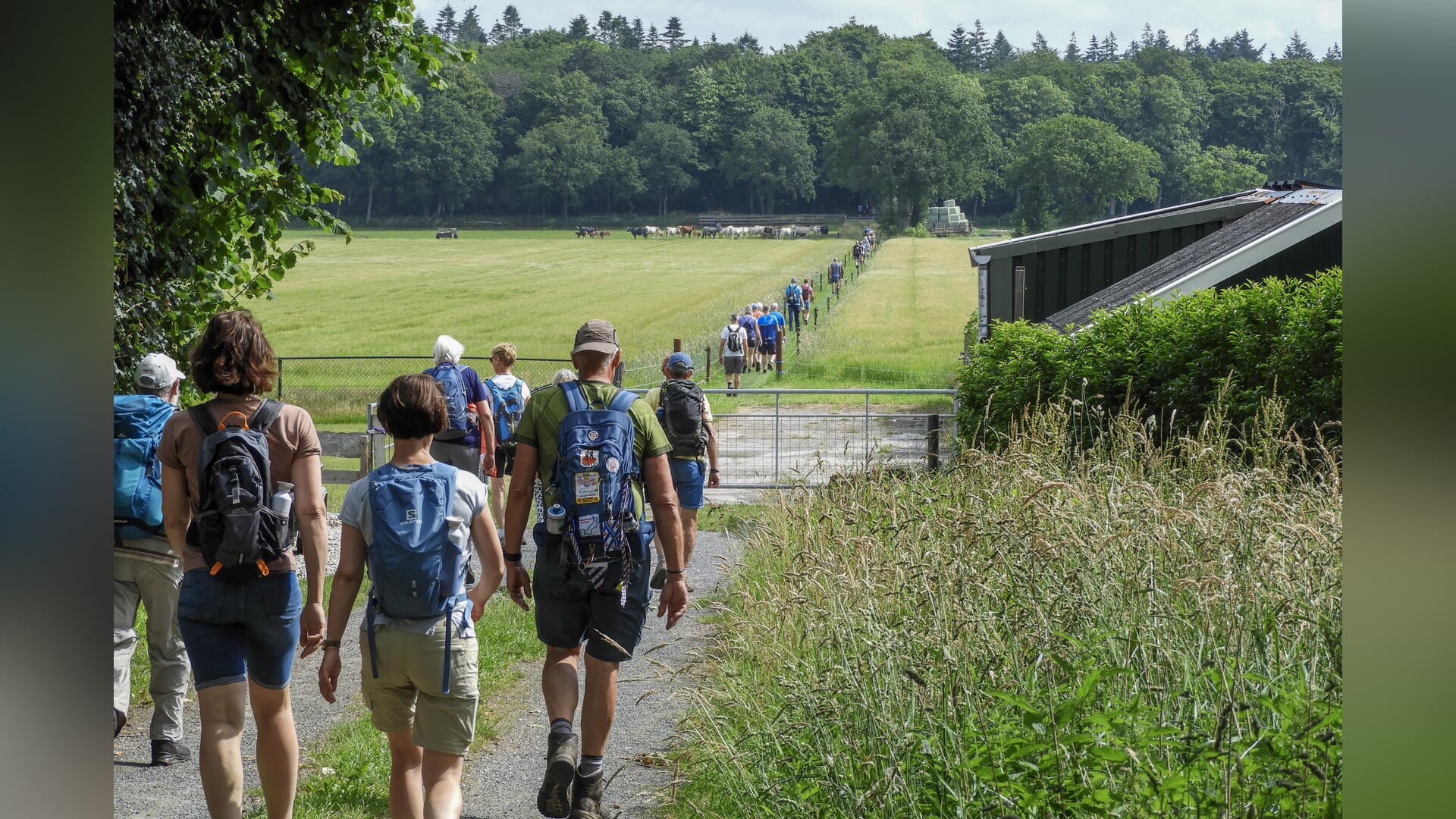 10e editie lustrum Gaasterlandse Heuvelen Wandeltocht
