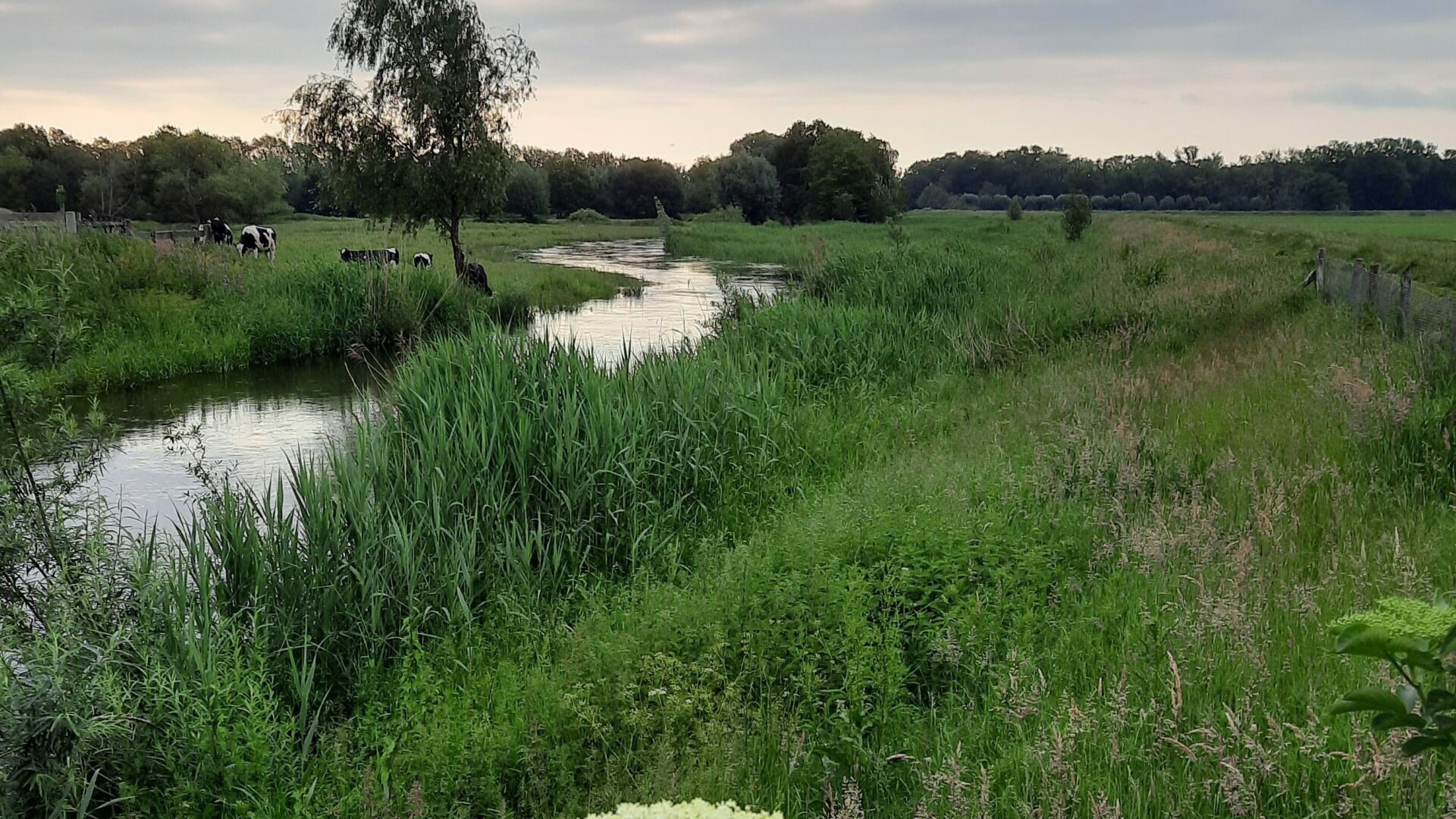 Denk mee over de toekomst van ons Aa-dal