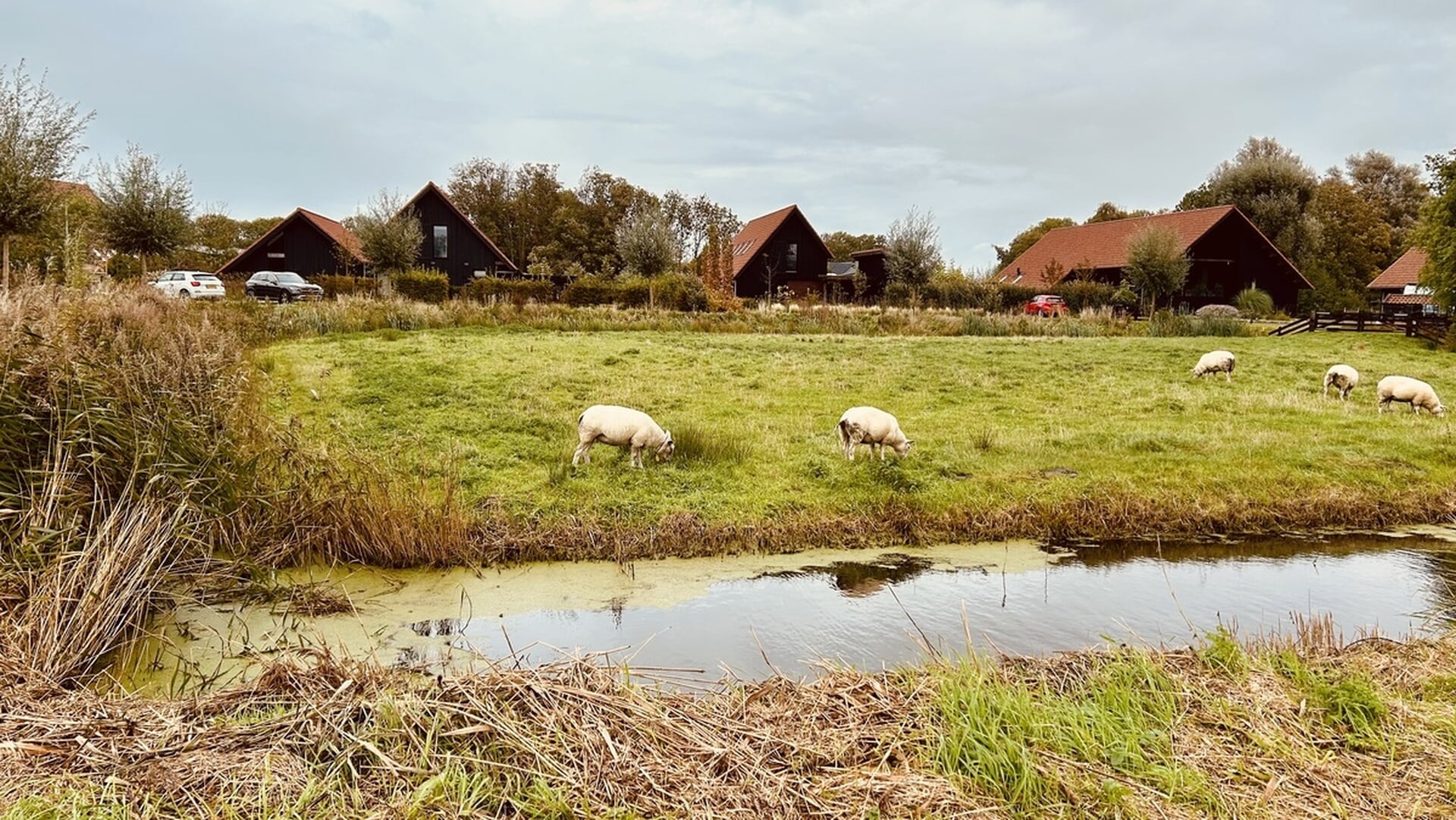 Rintjepôle Oppenhuizen genomineerd voor mooiste bouwproject van Fryslân