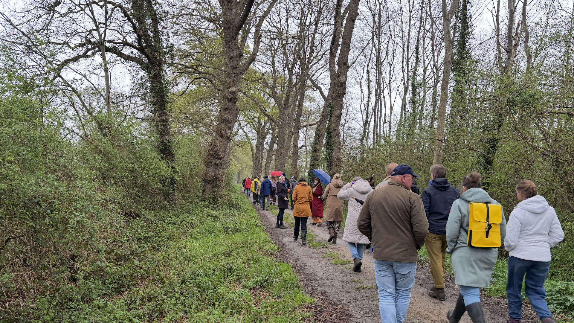 Extra activiteiten tijdens Into Nature