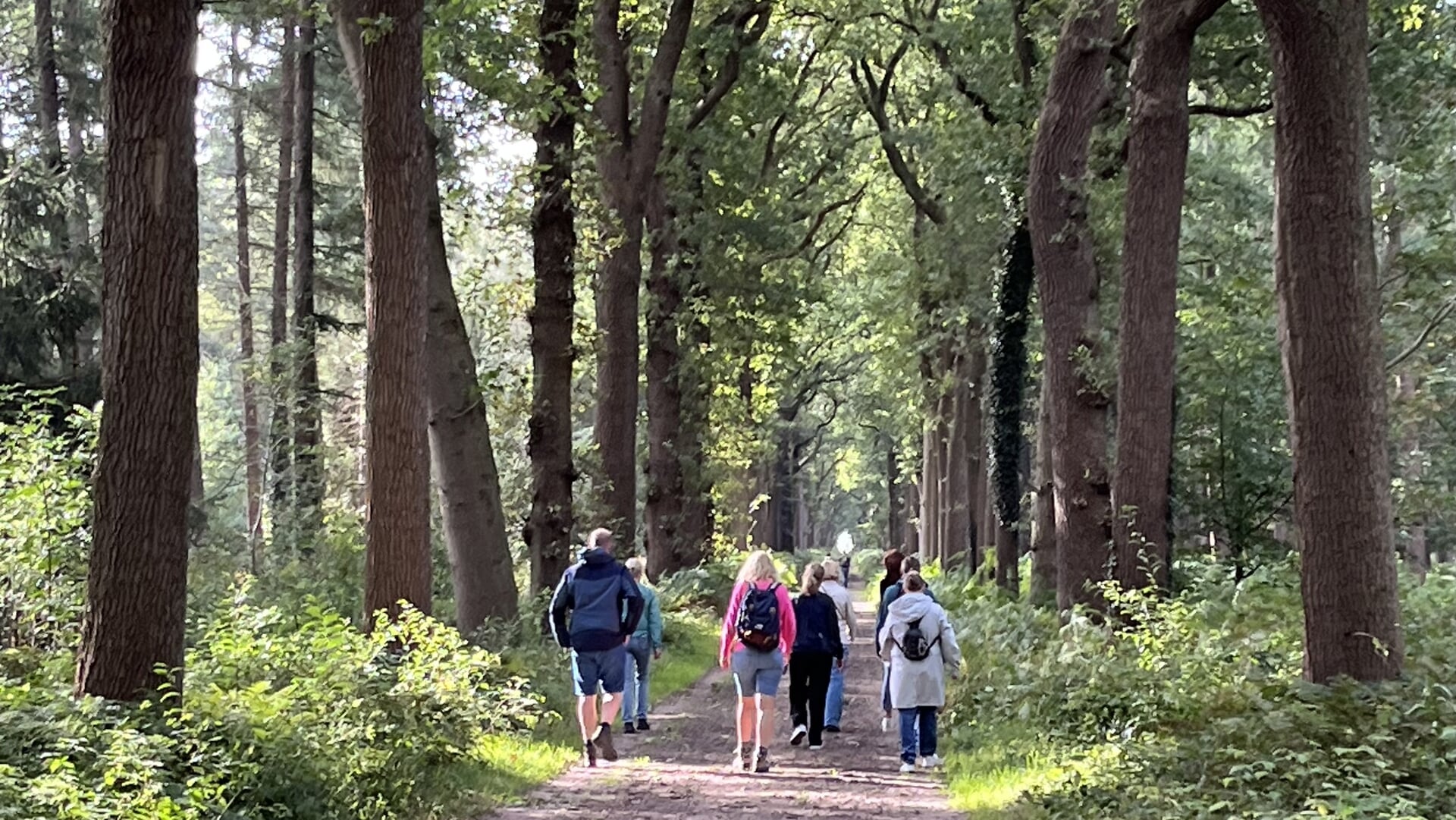 De Kracht van Wandelen – Ontspannen ontmoeting voor ouders in Oranjewoud