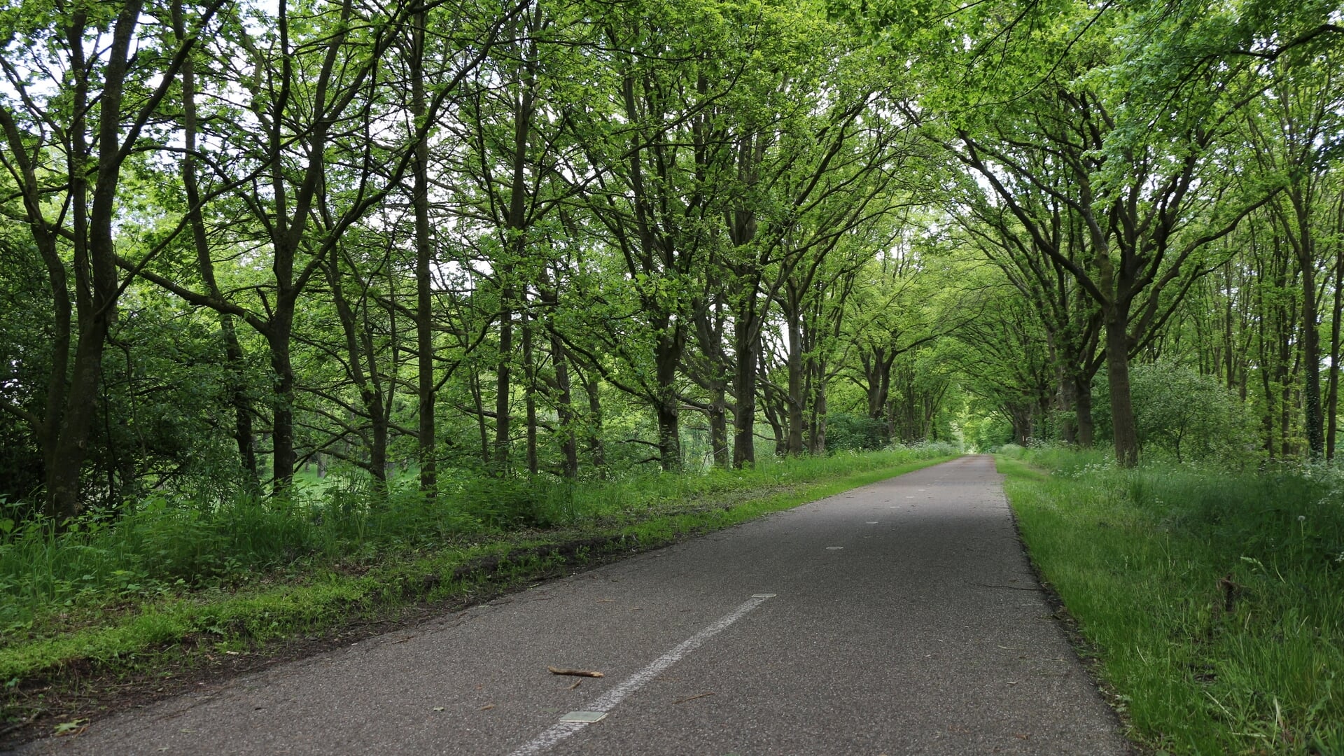 Ondernemersbijeenkomst in Lieshout onderstreept kracht van samenwerking