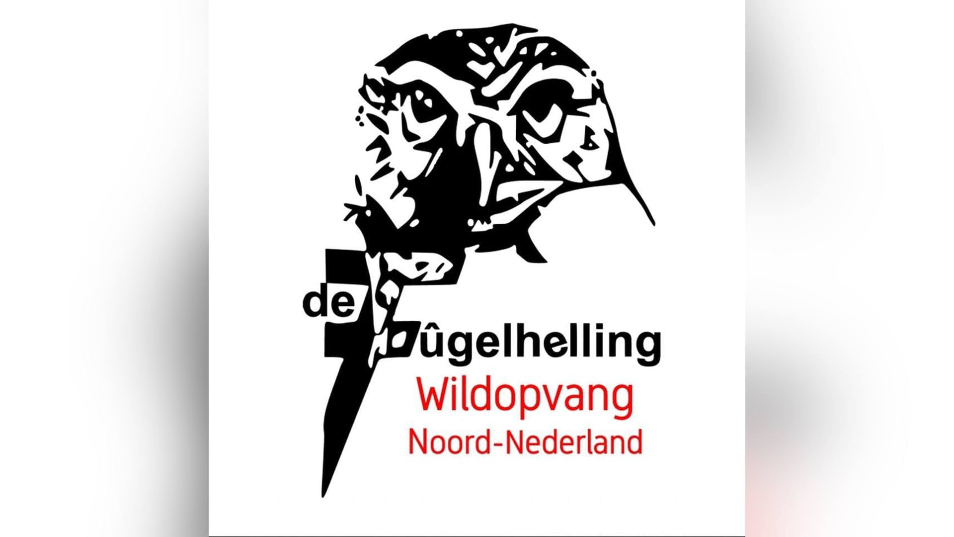 Open Avond over nachtdieren bij De Fûgelhelling