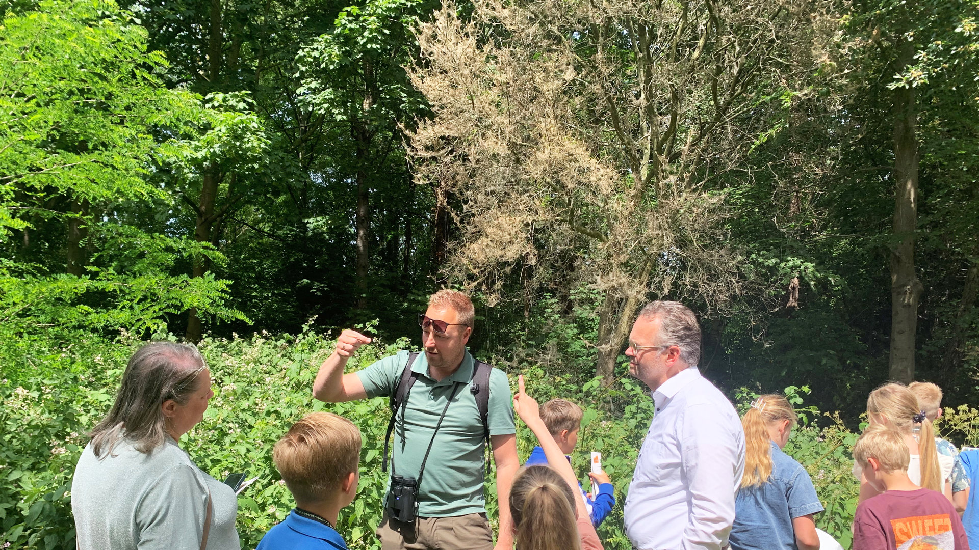 Excursie in het Ridderbos trapt BioBlitz maand af - Al het nieuws uit ...